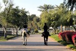European Equestrian Center Dubai (5/11, Dubai - Al Ain Road, Dubai), horse riding