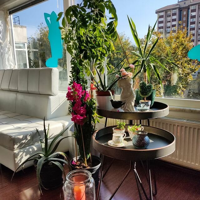 Plastic surgery Op. Dr. Gulay Boztosun Aesthetic and Plastic Surgery Clinic, Istanbul, photo