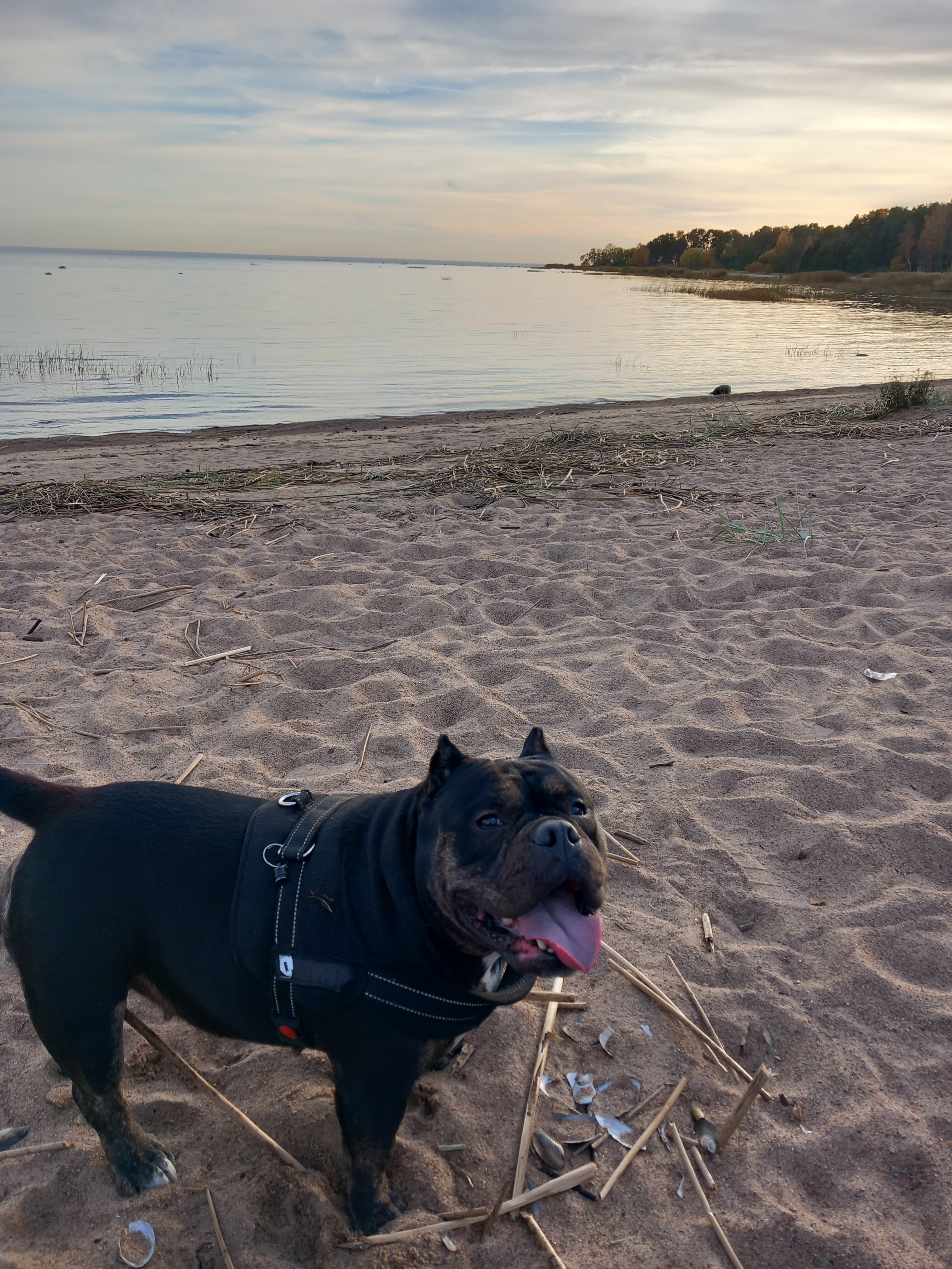 Фото Театральный