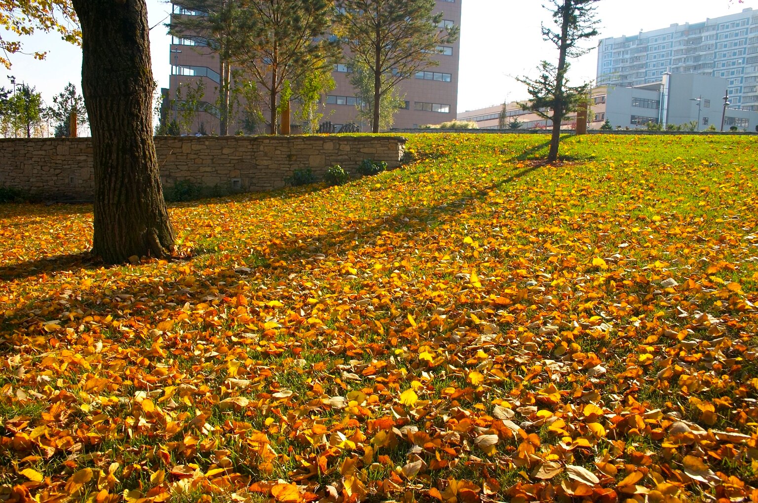 Фото Кантри Парк Отель & Club
