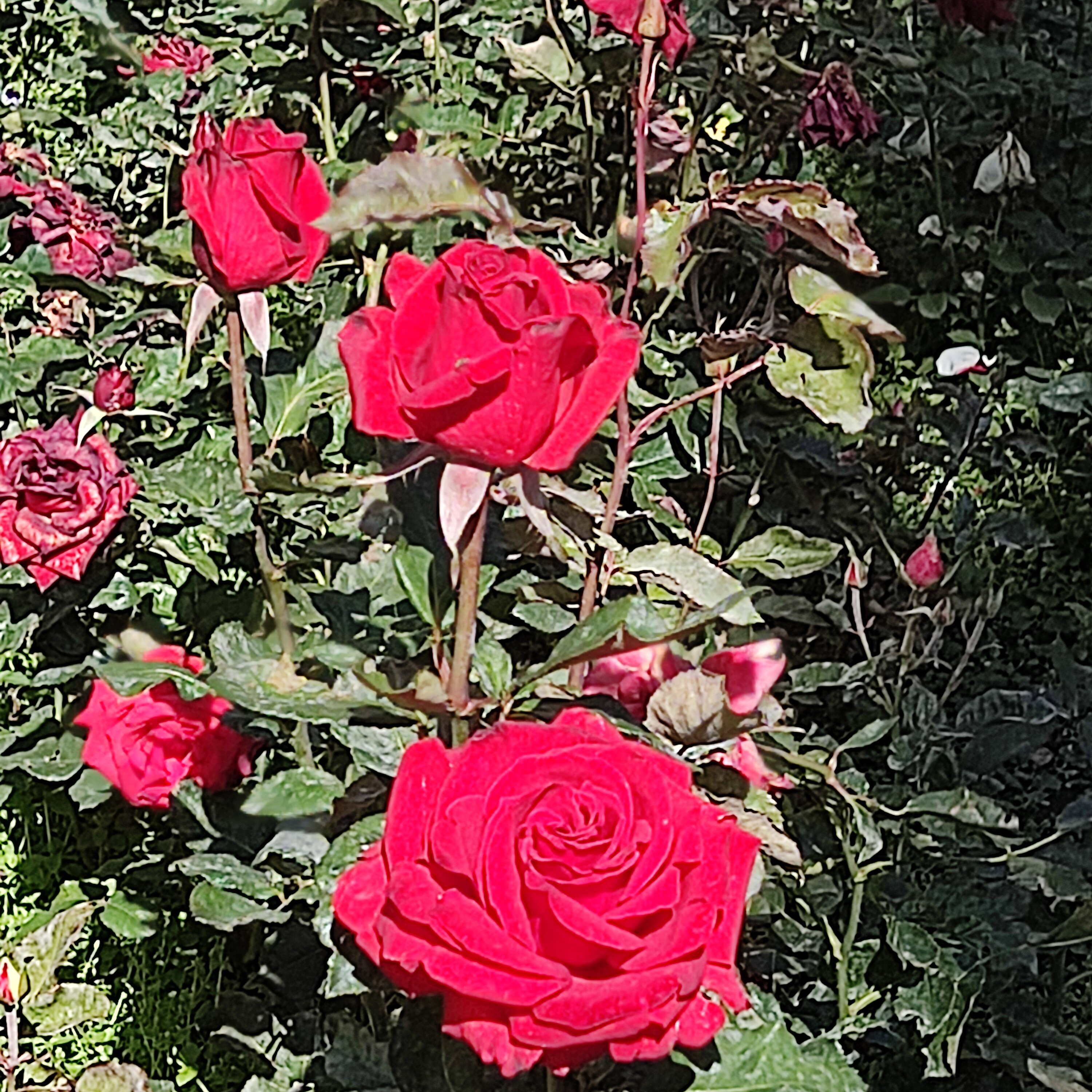 Фото Джермук Москва