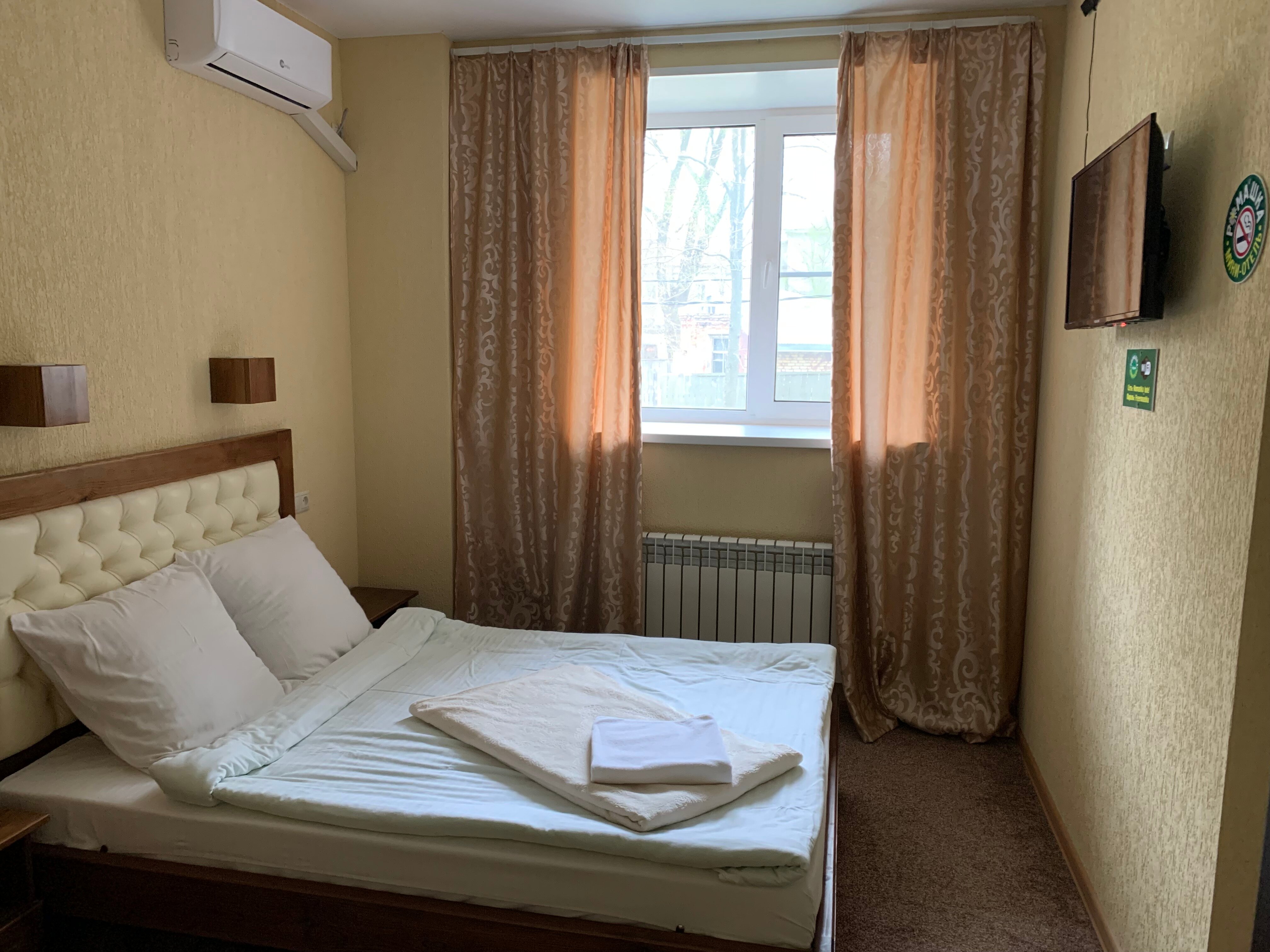 Фото Ромашка