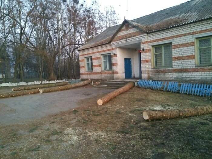 Oficina de correos Otdeleniye pochtovoy svyazi Pavlichi 243106, , foto