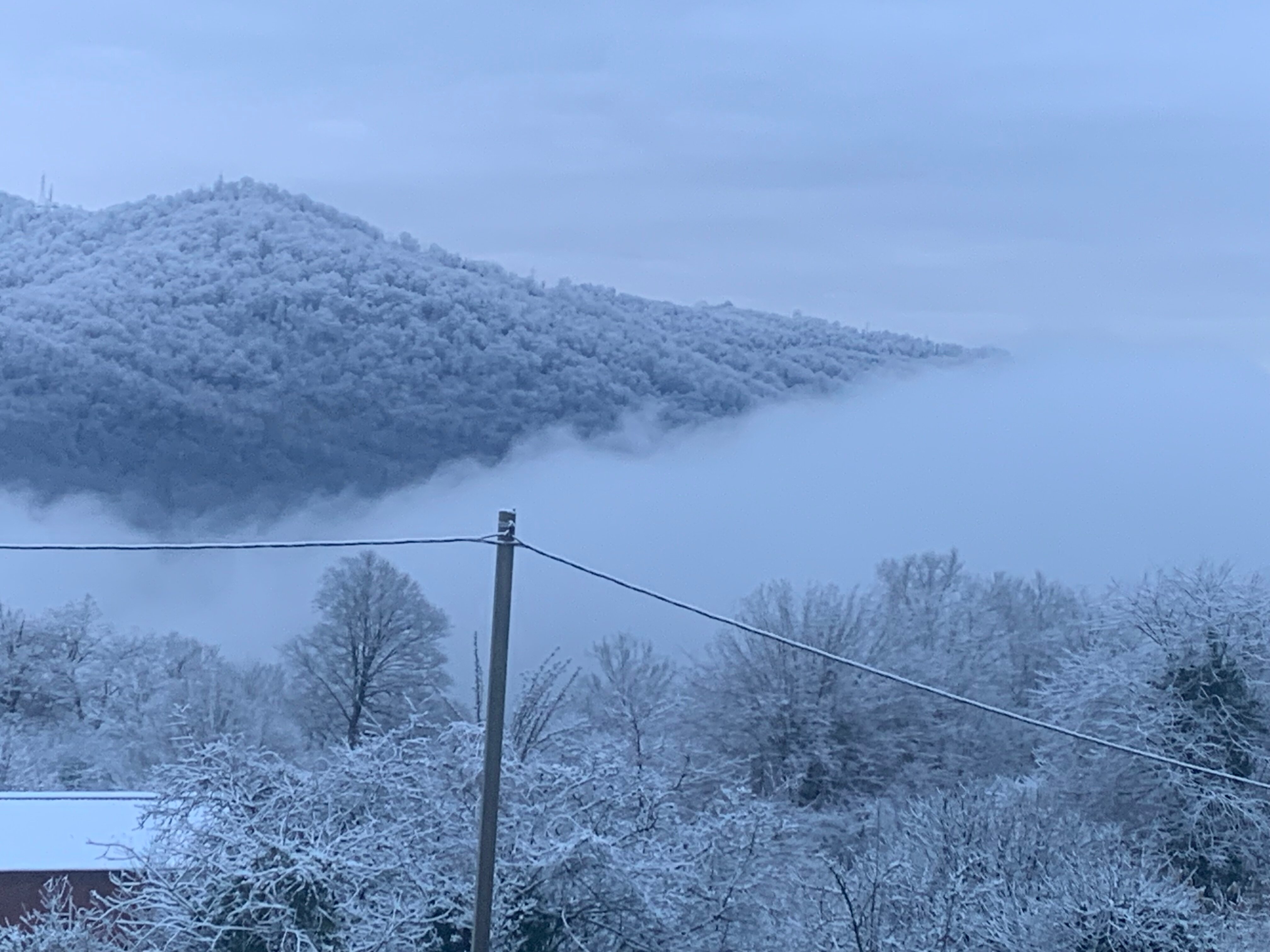 Фото Форелька