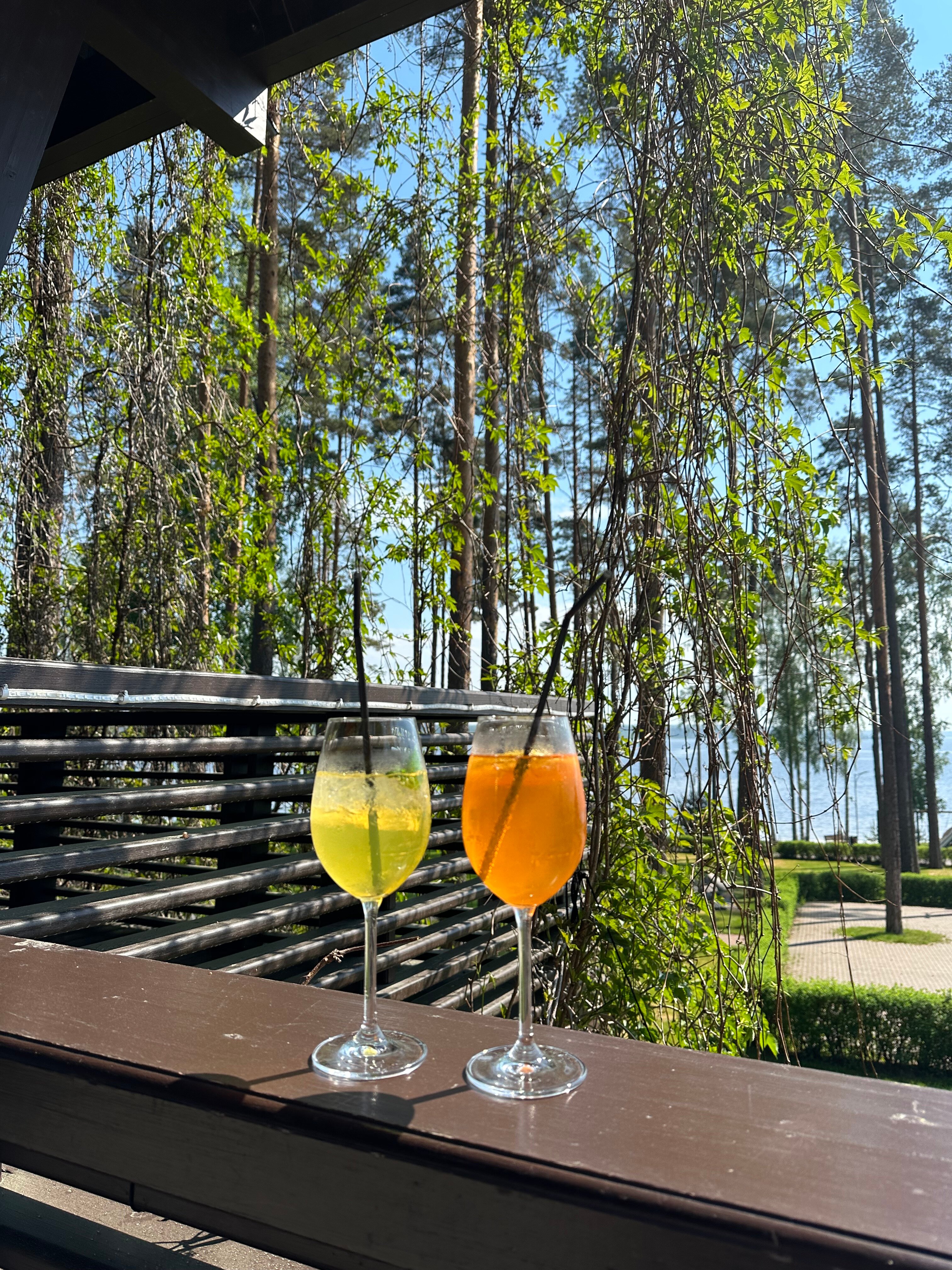 Фото Сильвер