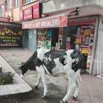Fatih Milk and Dairy Products (İstanbul, Avcılar, Denizköşkler Mah., Denizköşkler Cad., 41B), dairy products shop