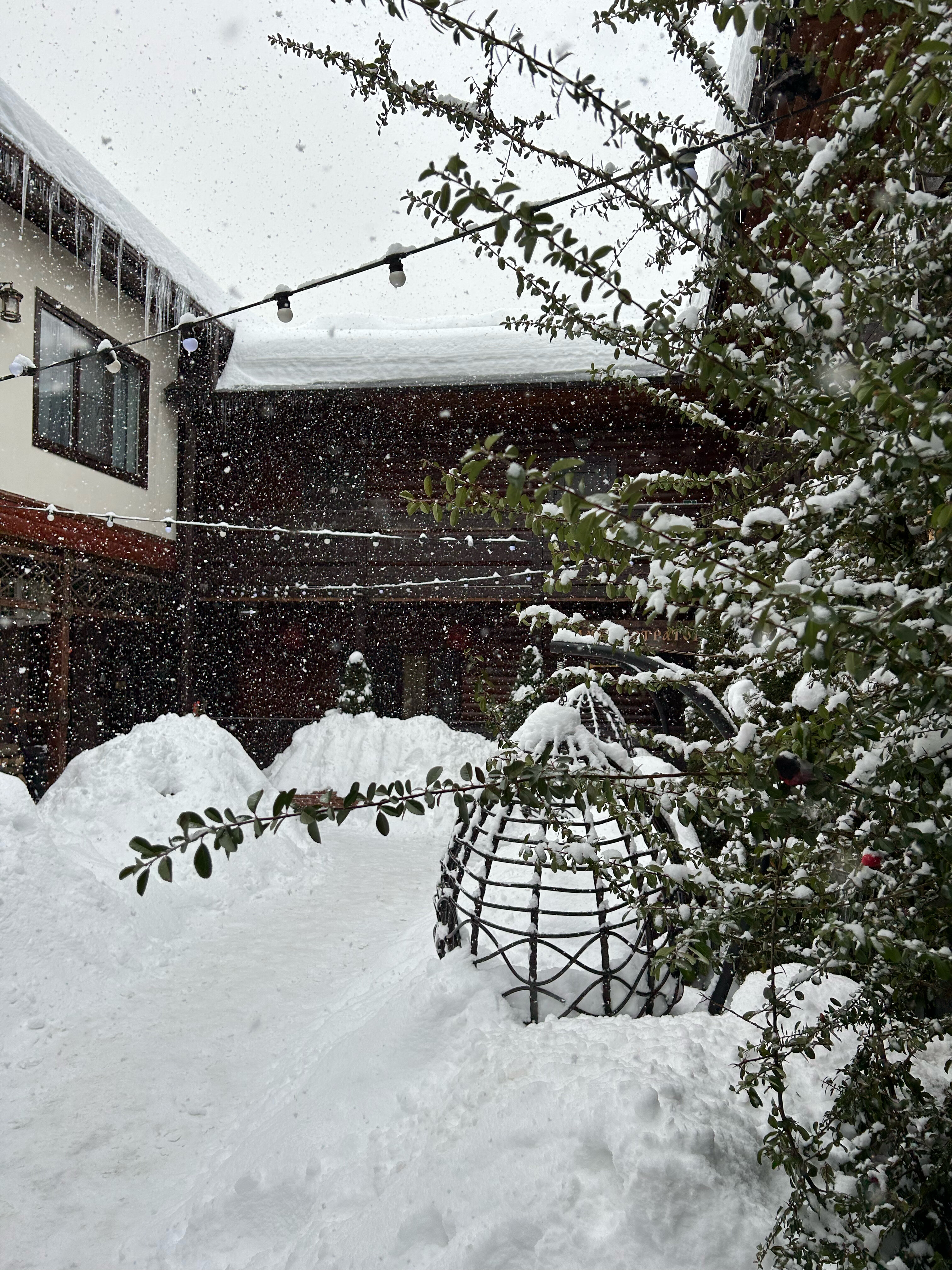 Фото Куршевель
