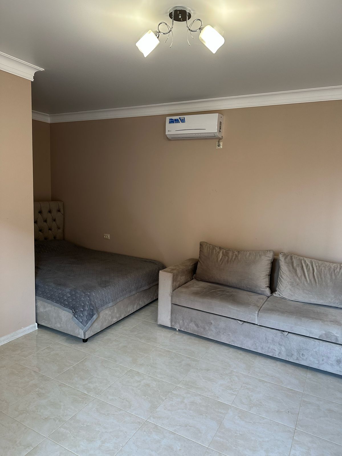 Фото Морская Звезда