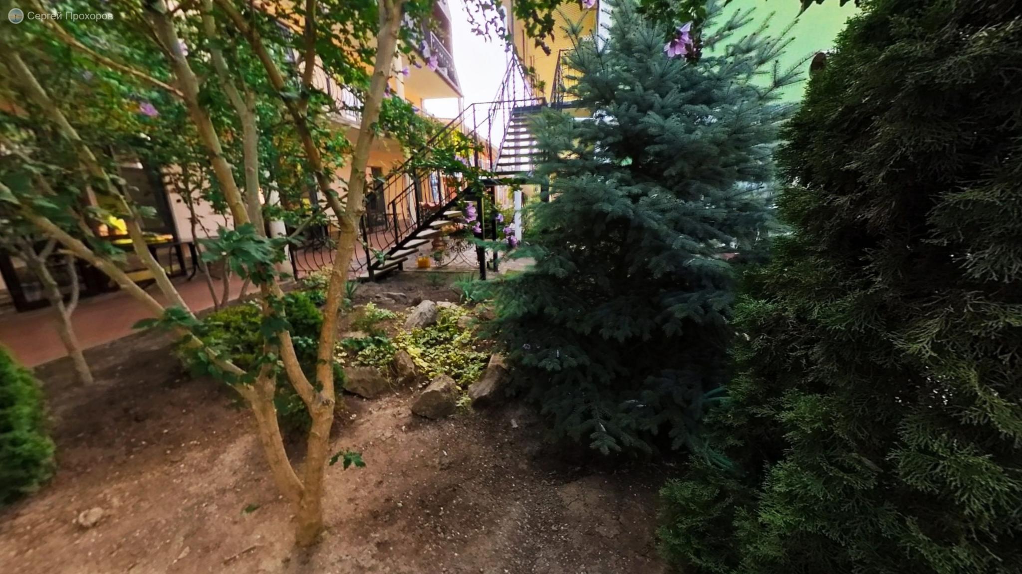 Фото Колибри