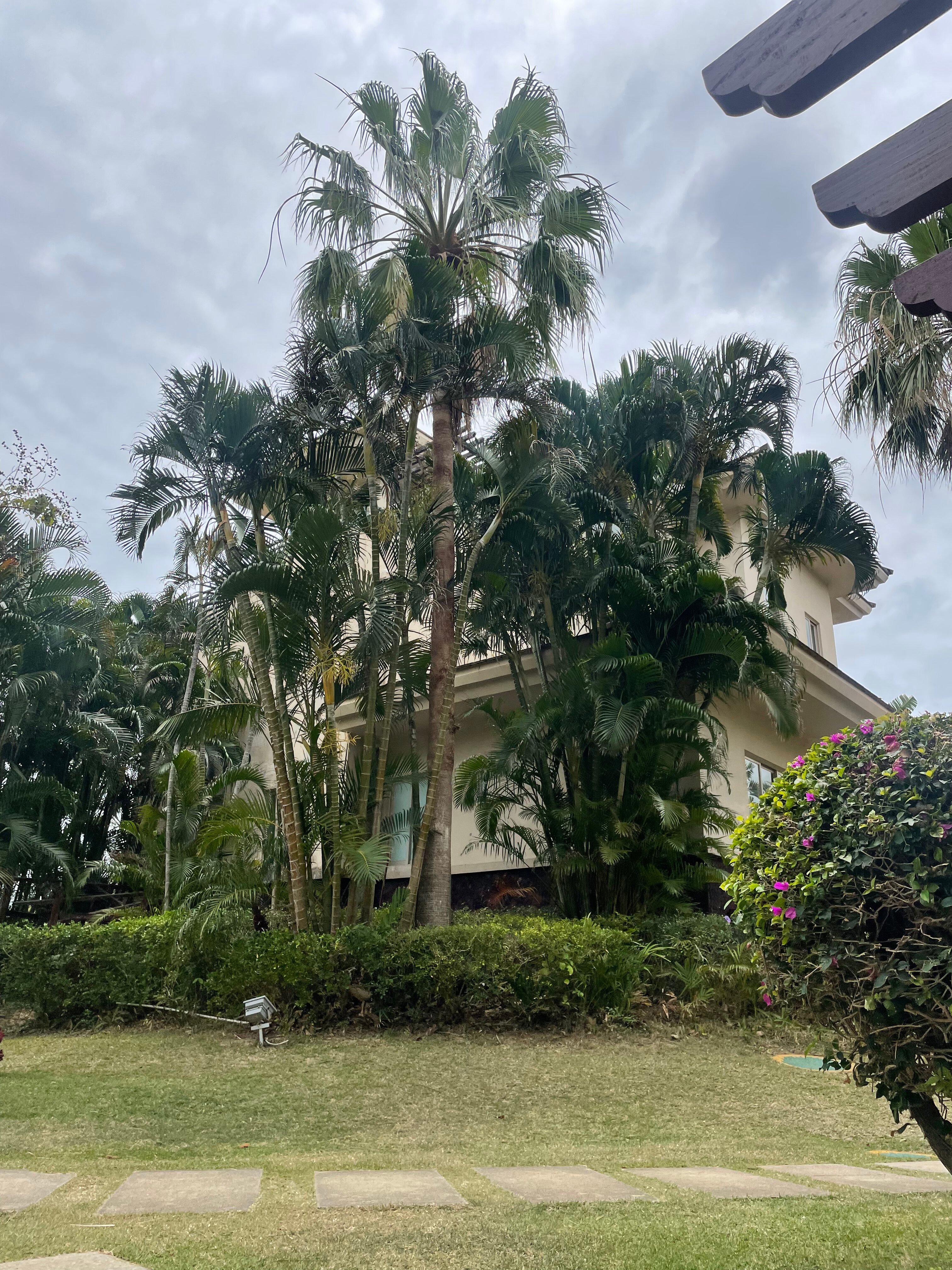 Фото Grand Mercure Sanya Yalong Bay