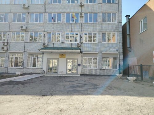 Жас кискалар шешініп жатыр