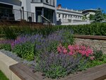 ArtSad (Lenina Street, 24), landscape design