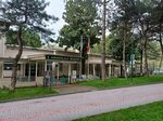 Archeological Museum (Bursa, Osmangazi District, Cekirge Avenue, 4/11), museum