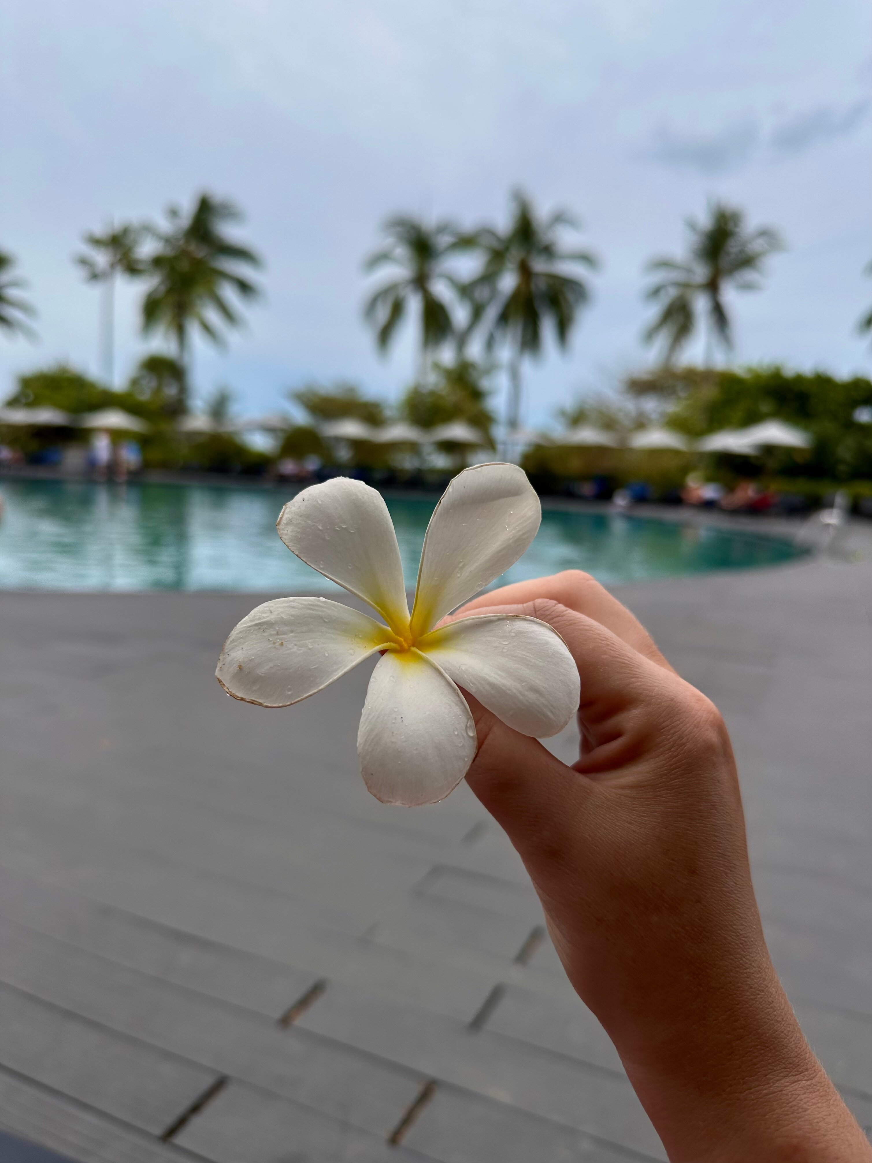 Фото Pullman Phuket Karon Beach Resort
