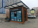 Славица (gorodskoy okrug Chelyabinsk, Kurchatovskiy District, Pionerskaya ulitsa, 7), helado