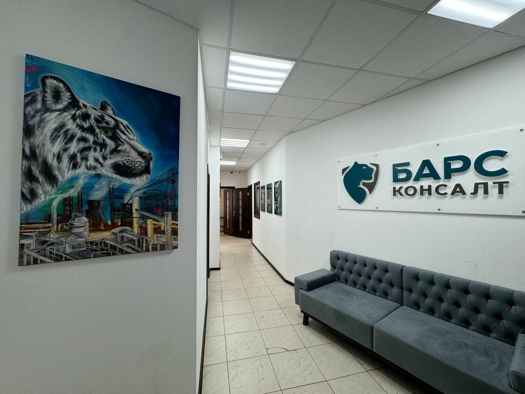 Business consulting Bars Consult, Kazan, photo