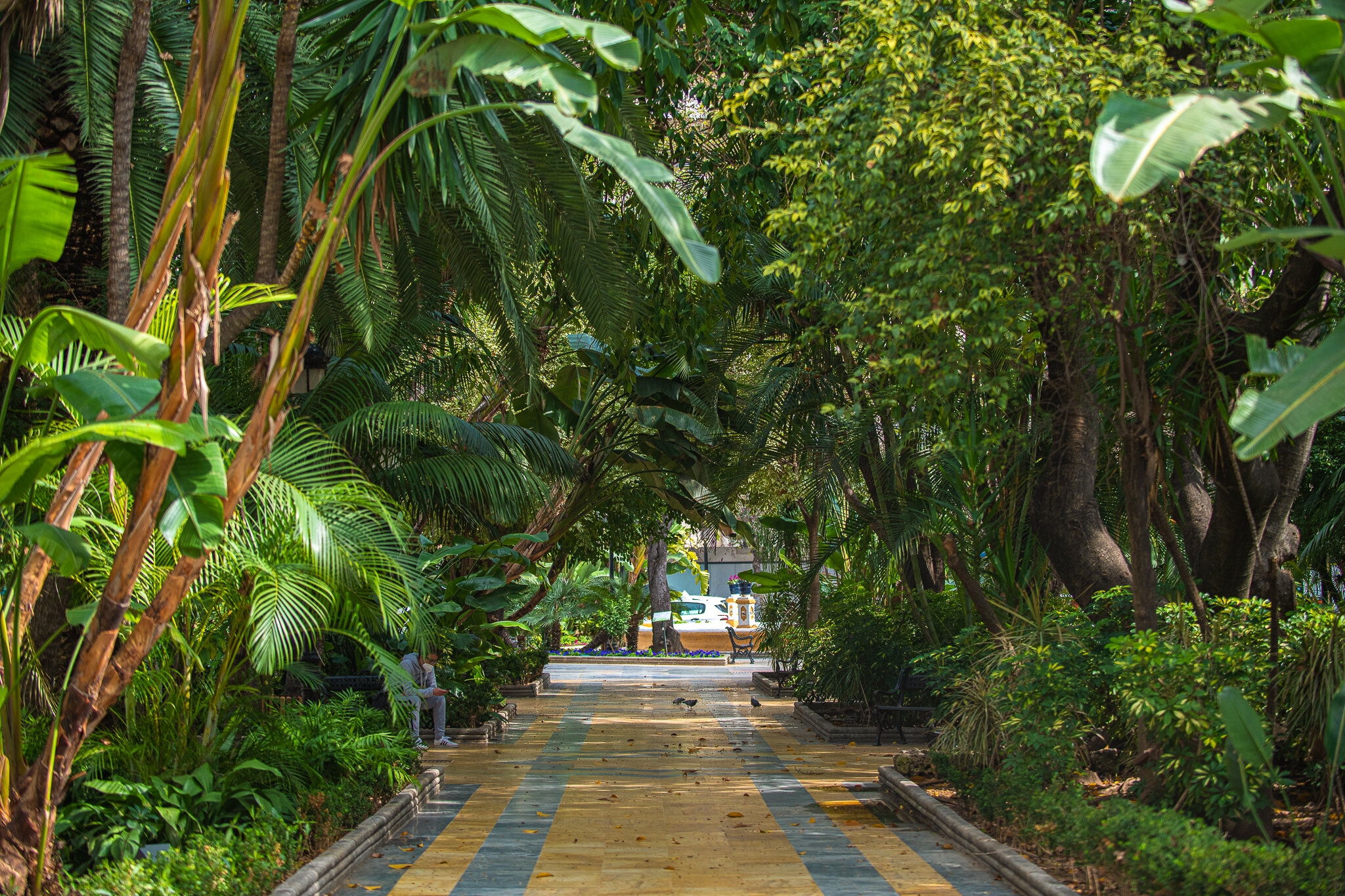 Фото 195612454276