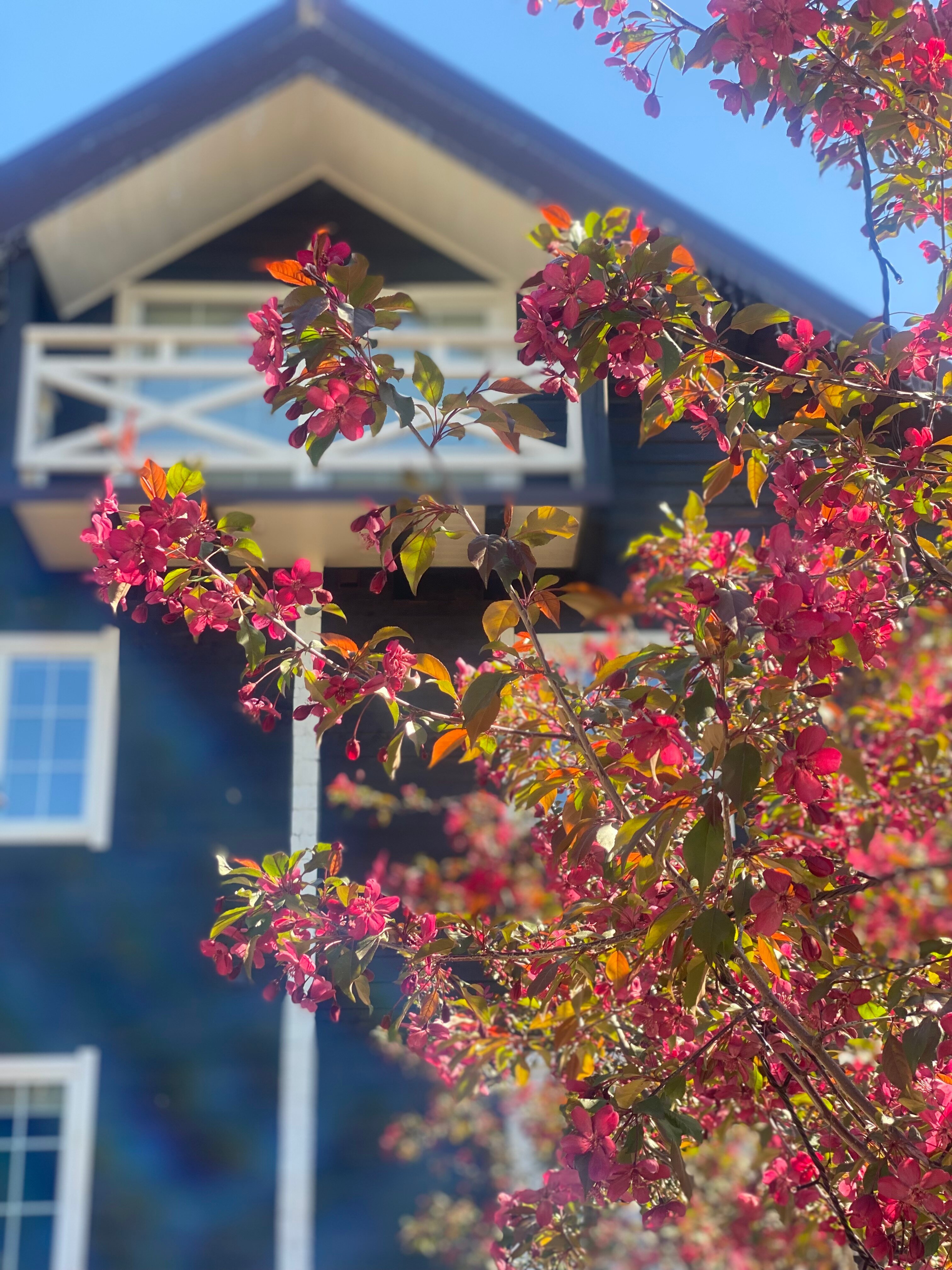 Фото Апарт комплекс Алтай