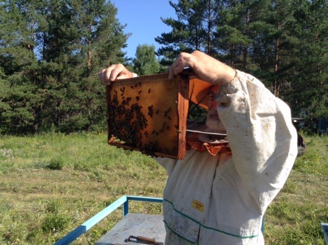 Фото Шале Лекаря