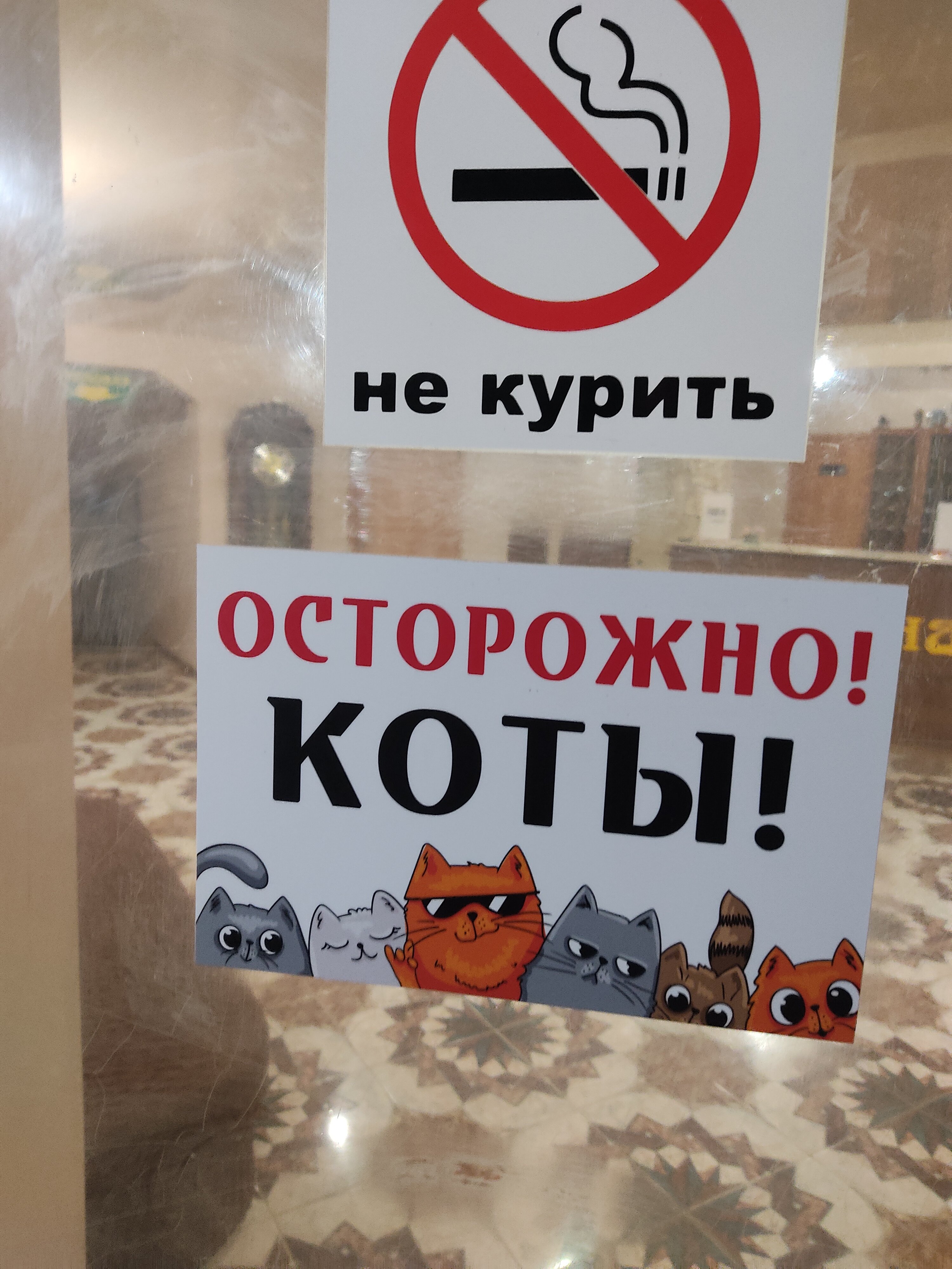 Фото Фортуна