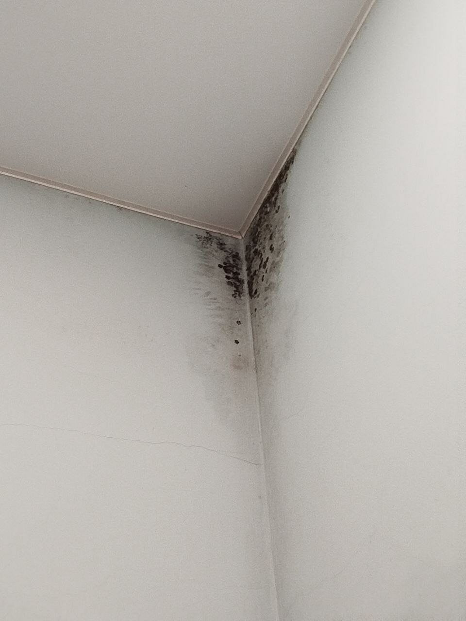 Фото Pro100hostel.76