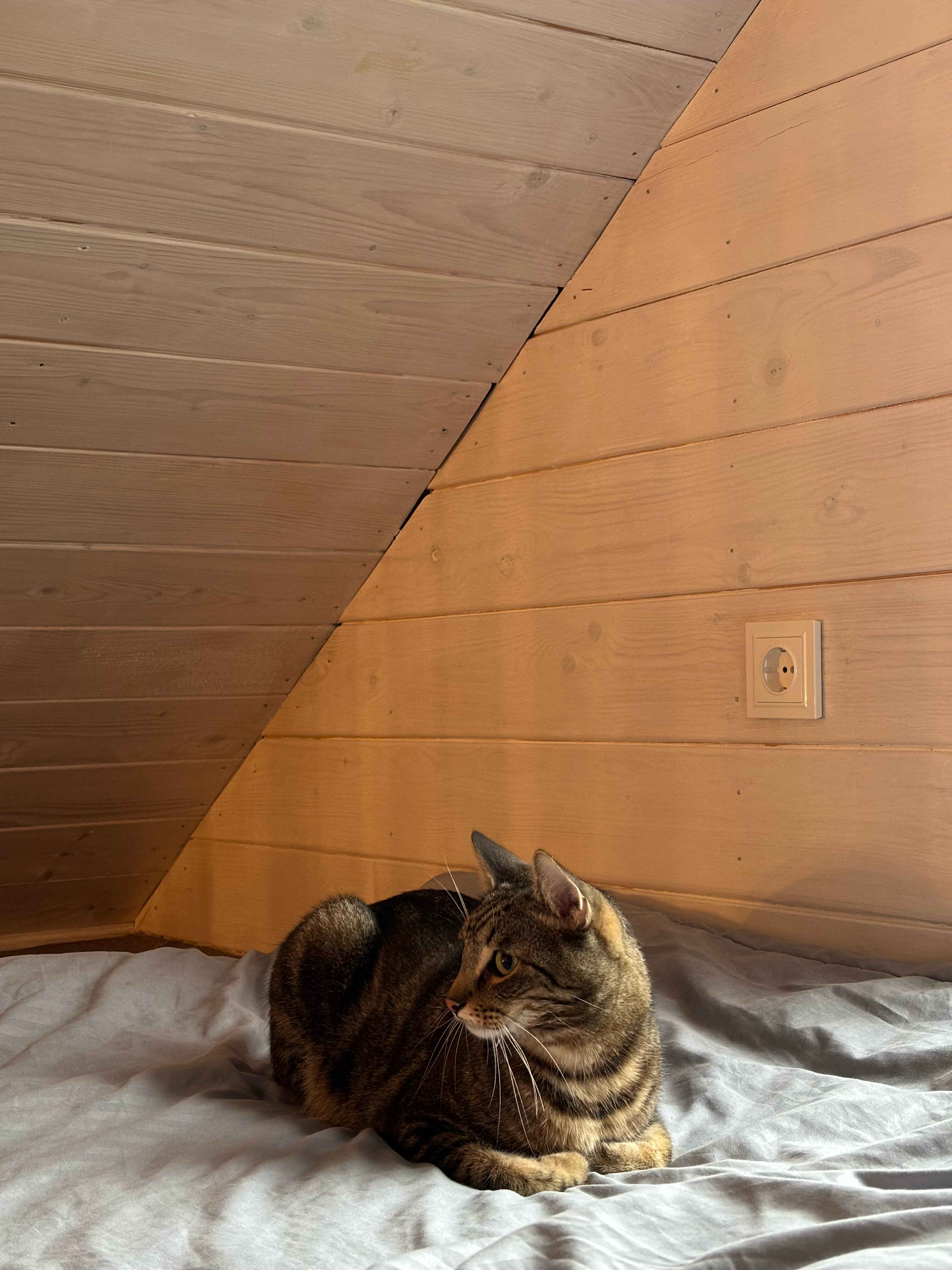 Фото Уютный Барн