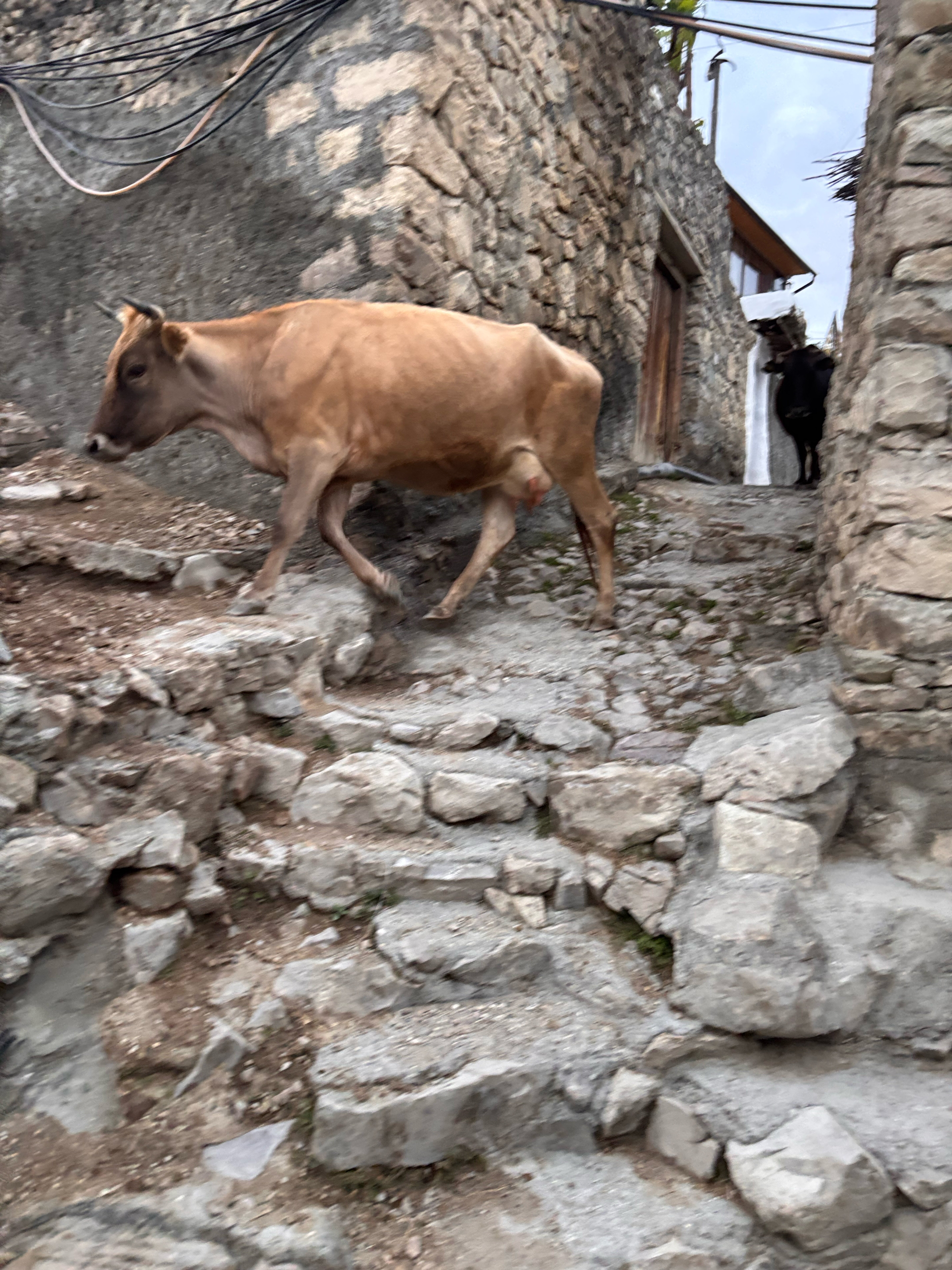 Фото МириДа