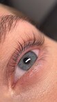 ShaLash (Urban-type Settlement Zaprudnya, Proletarskiy pereulok, 15), eyebrow and eyelash salon