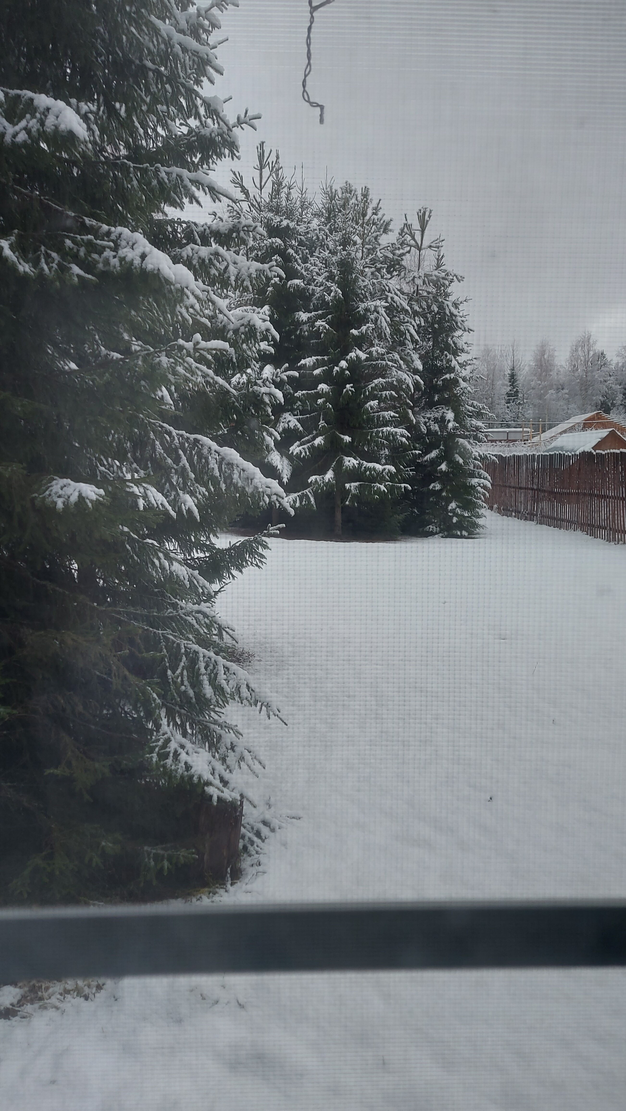 Фото Терем Морозко