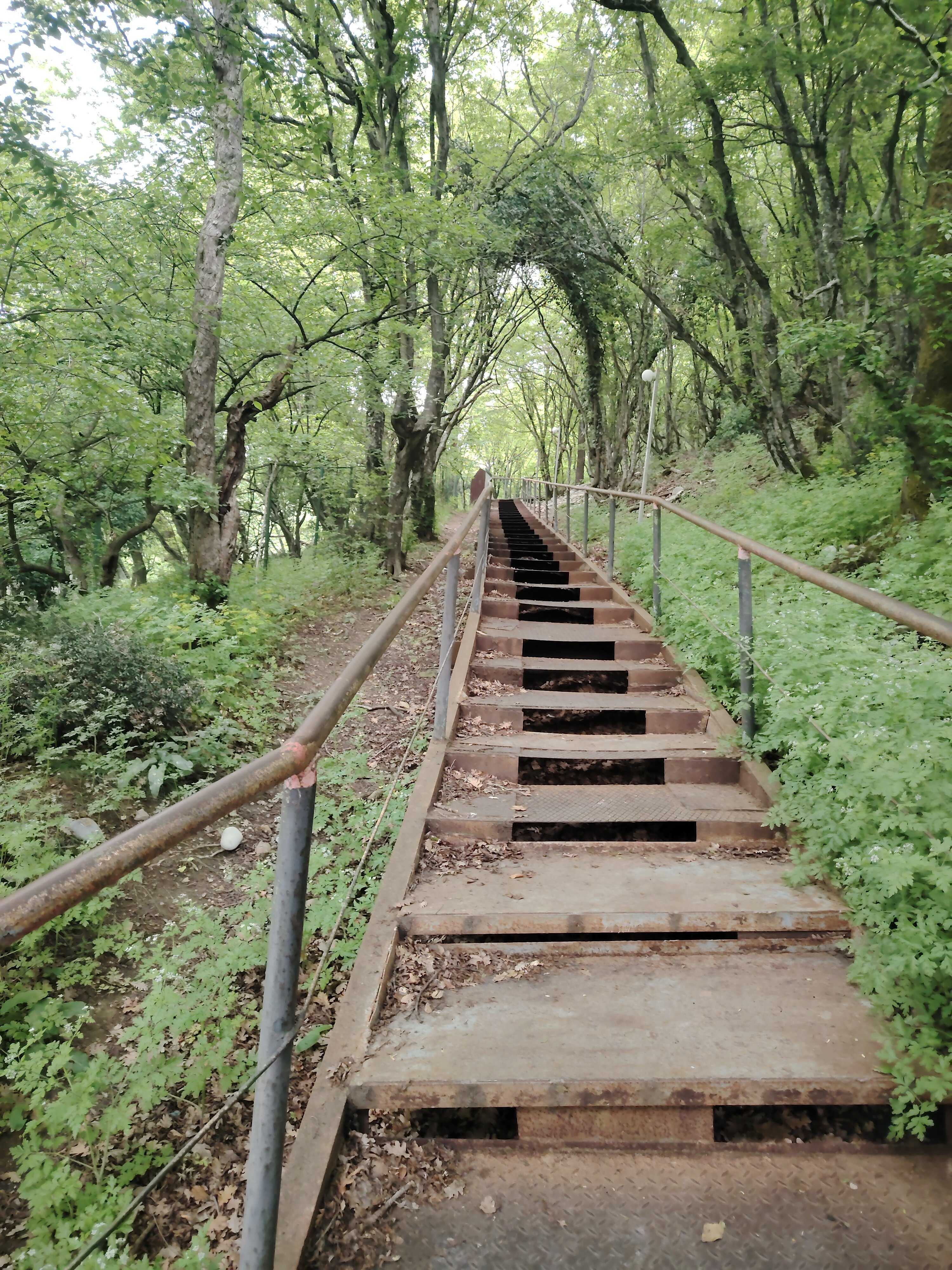 Фото Диана