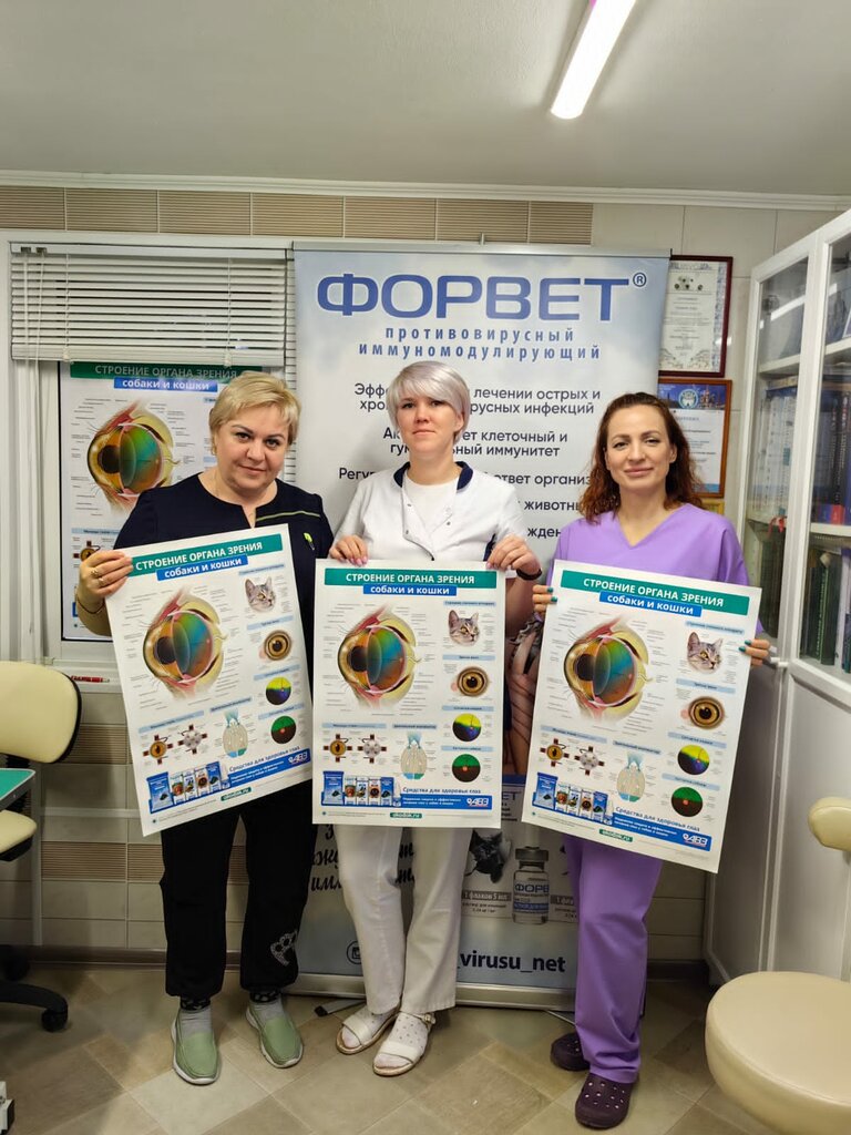 Veterinary clinic Зооцентр Гарфилд, Krasnodar Krai, photo