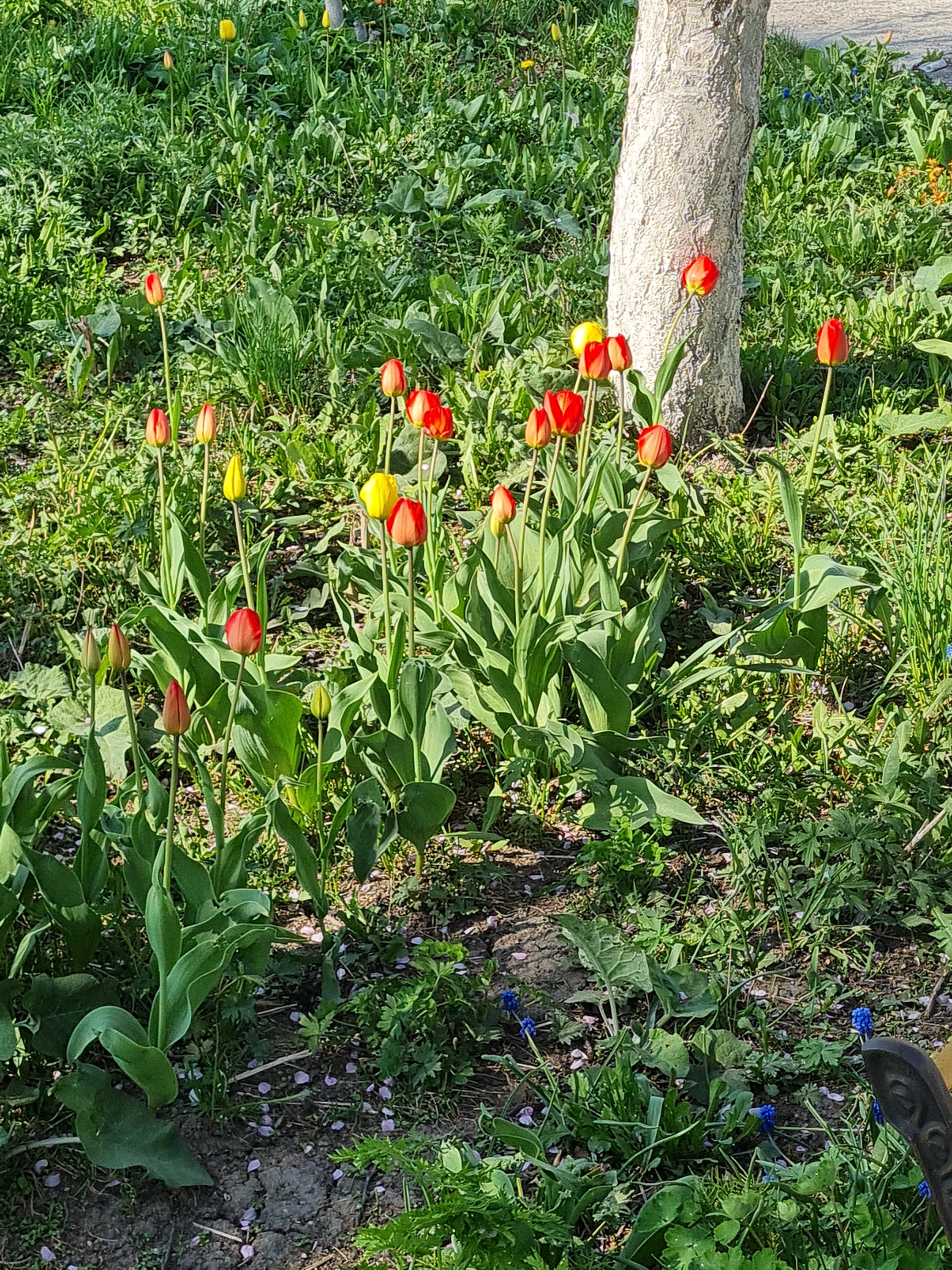 Фото Хостел123