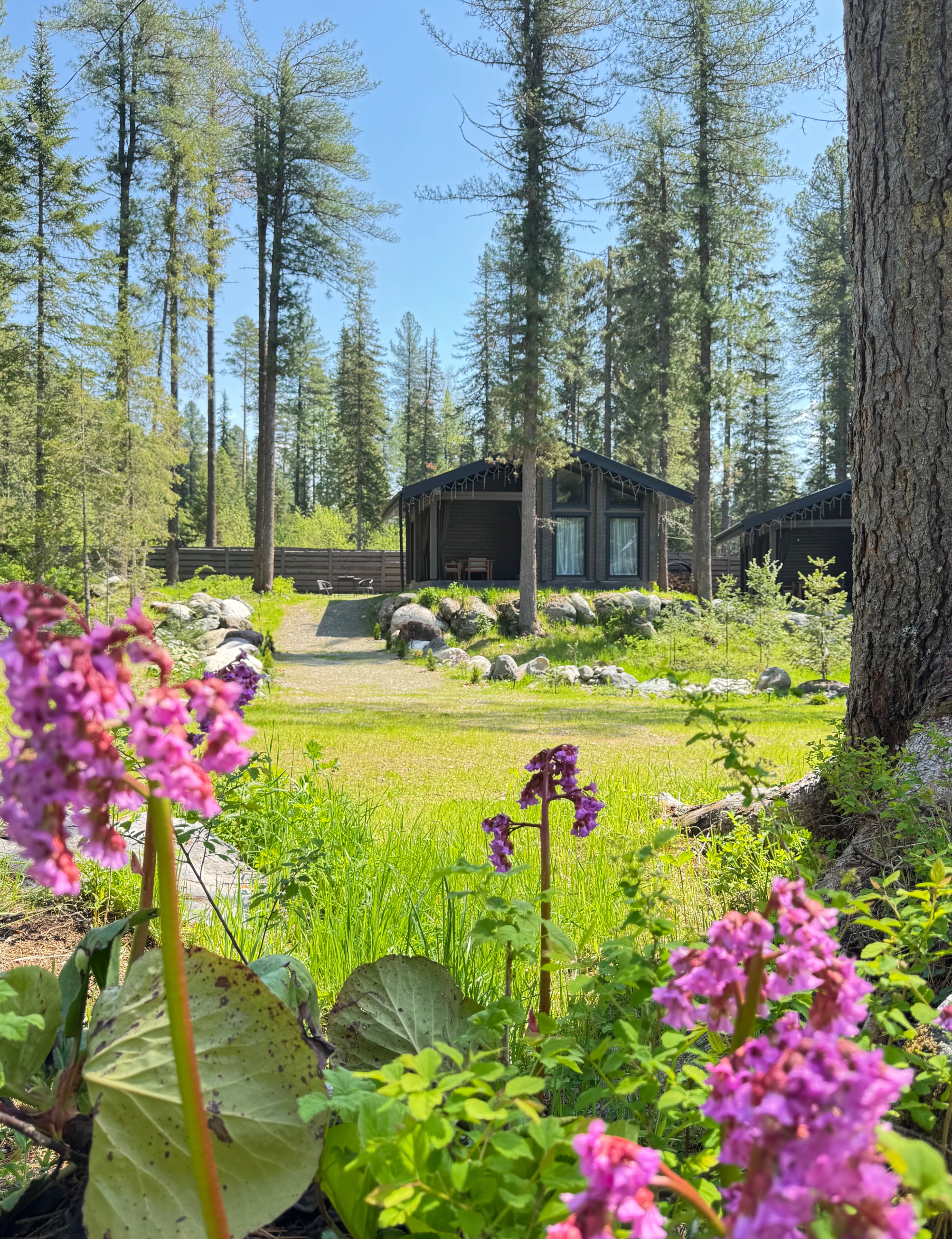 Фото Вместе