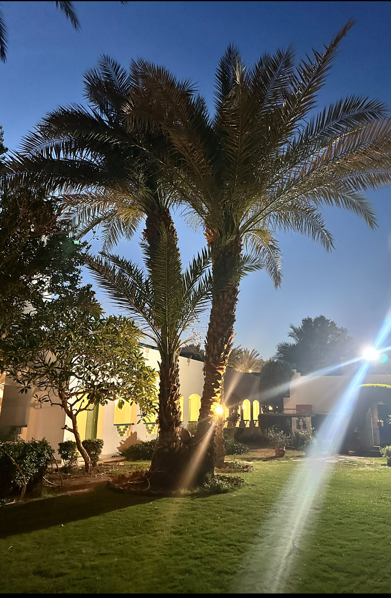 Фото Falcon Hills Hotel