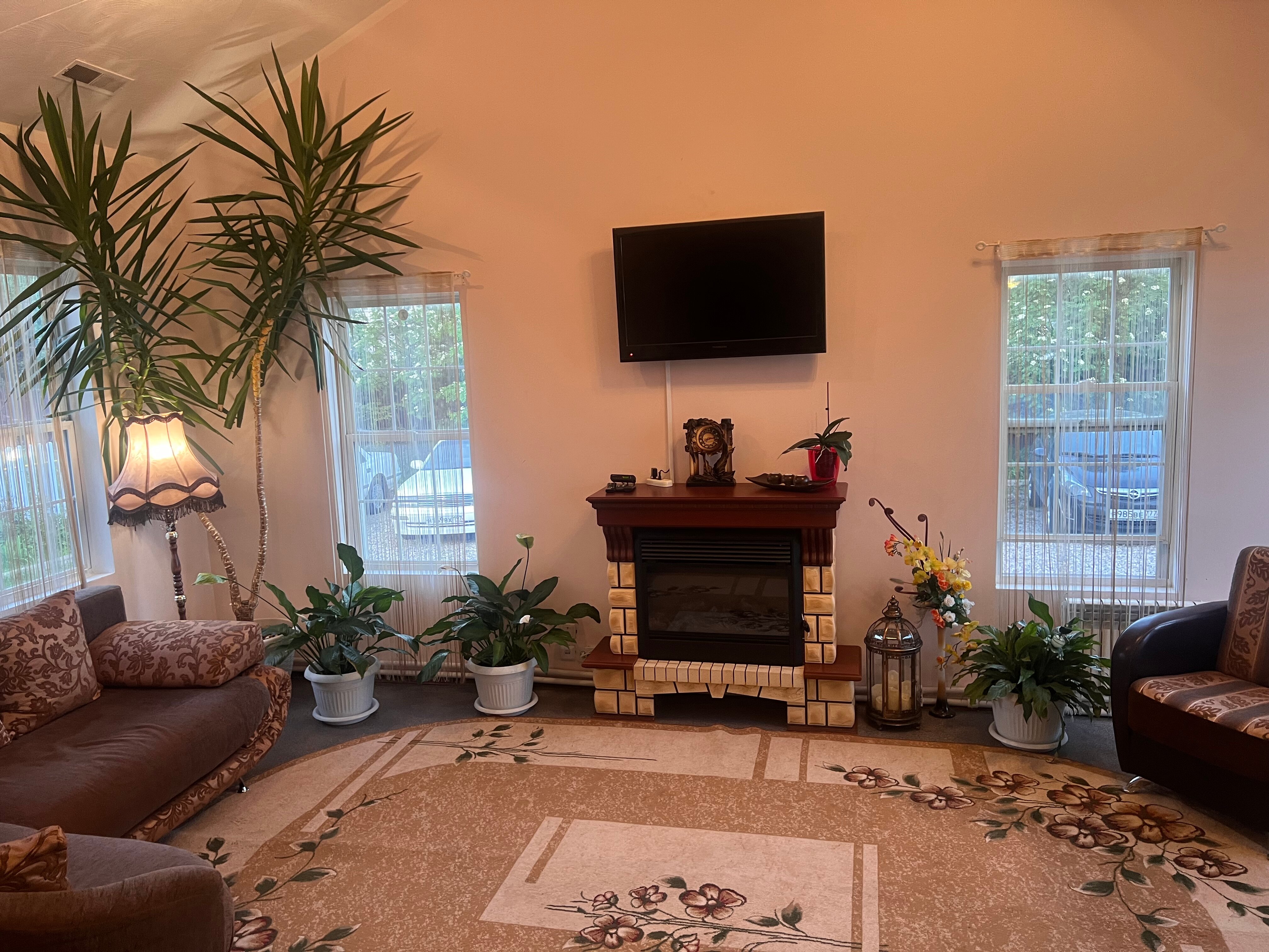 Фото Орхидея