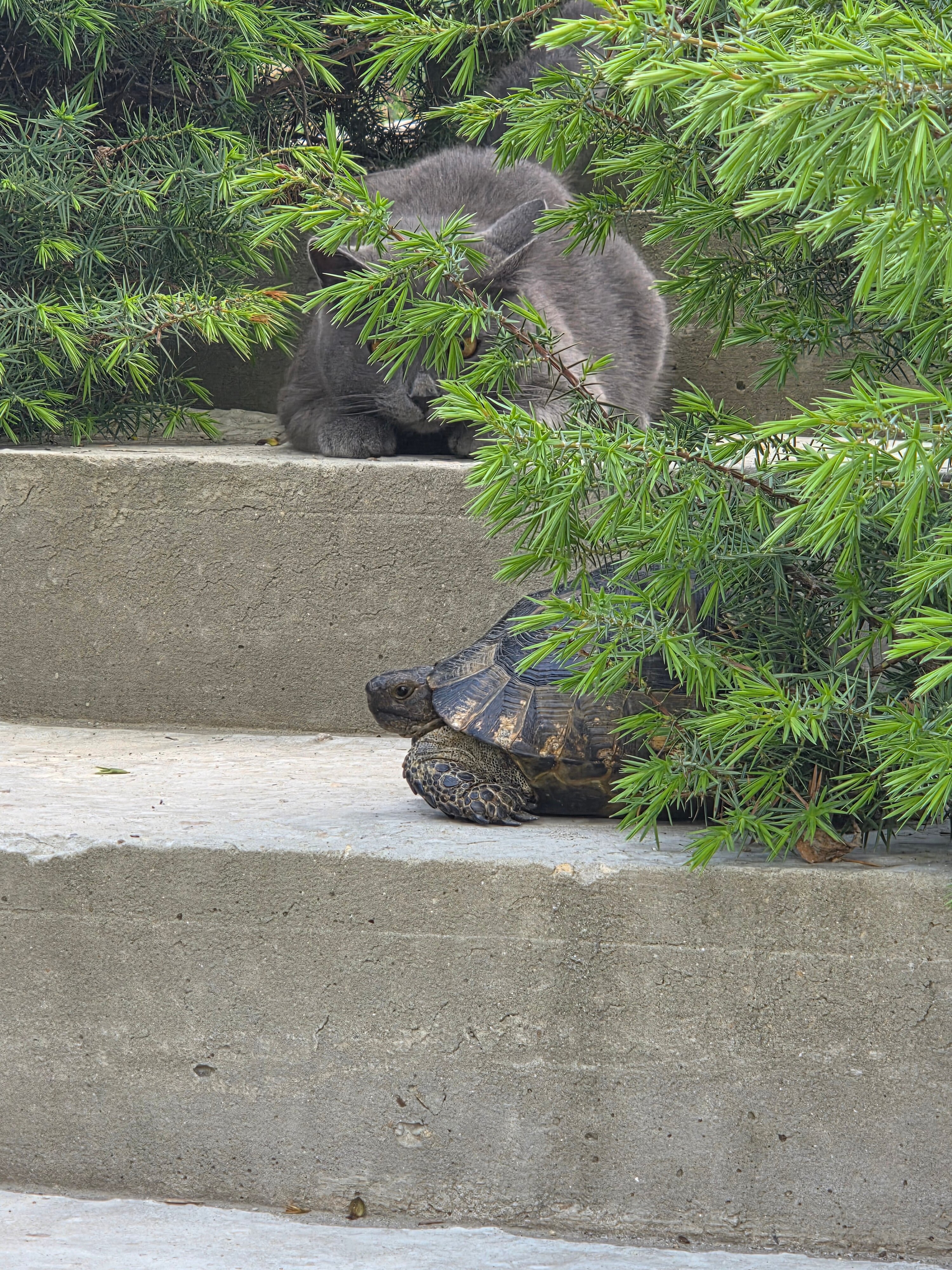 Фото Заповедный коттедж
