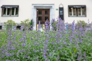 Гостиница Urban Boutique Hotel