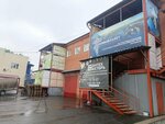 Новый Завет (ulitsa Mayakovskogo, 13к1), religious organization