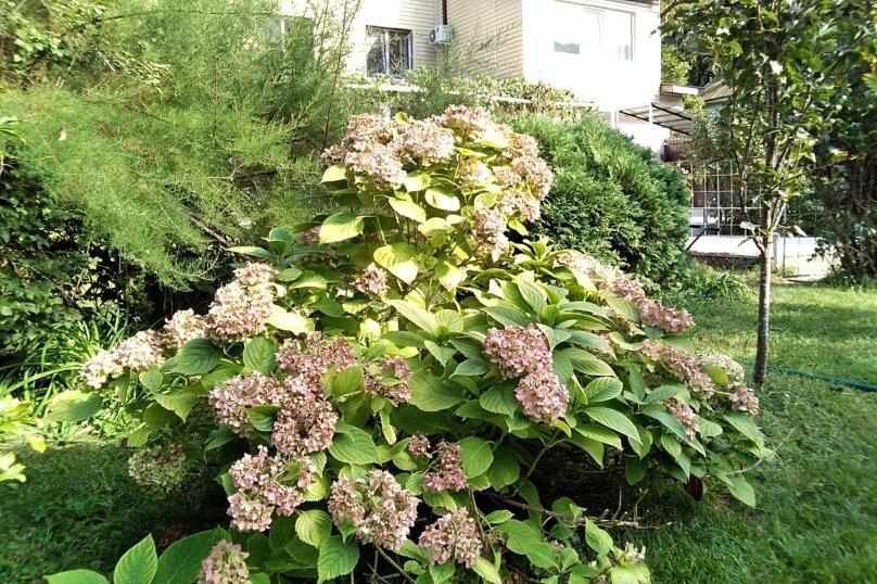 Фото Forest Club