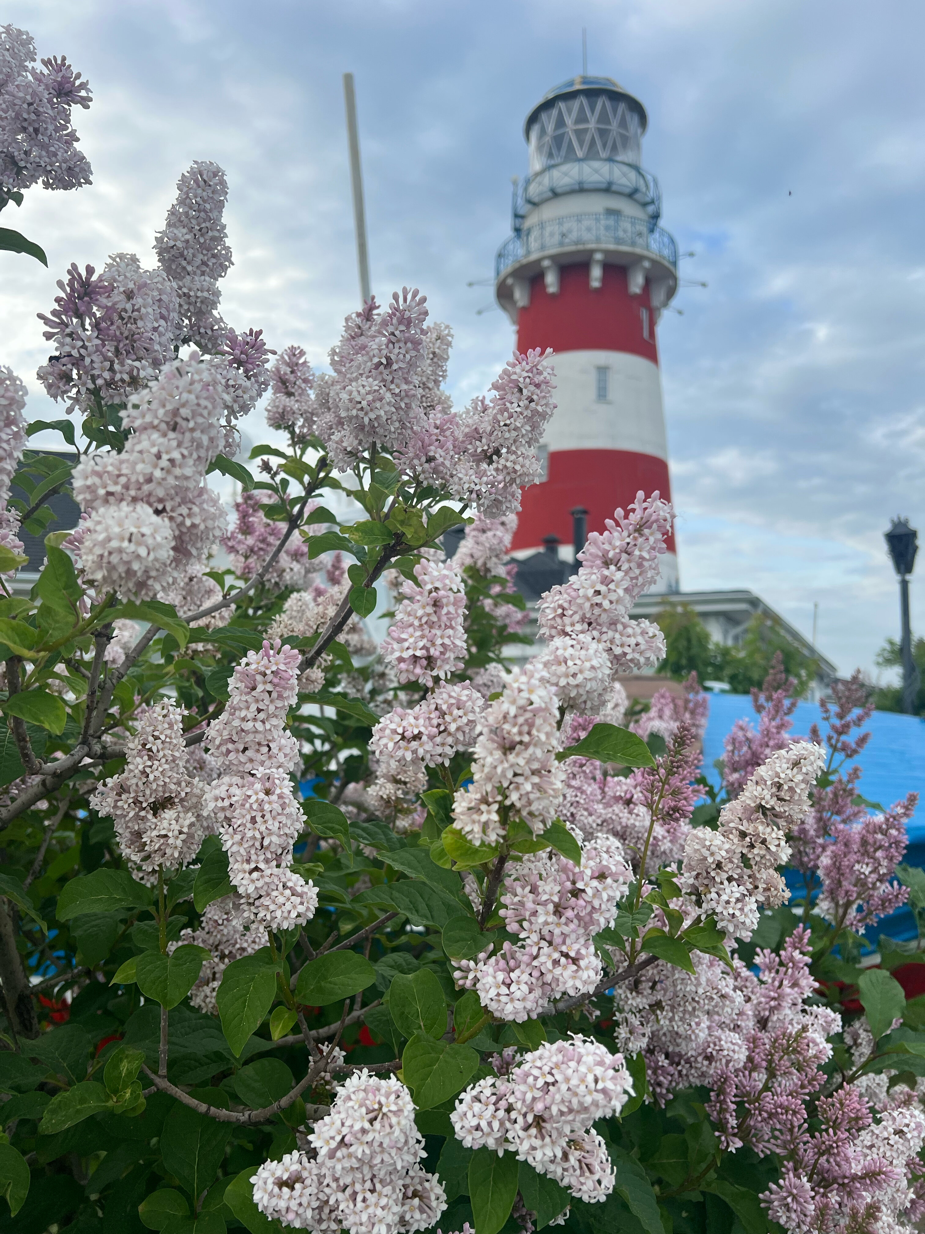 Фото Рыбацкая деревня