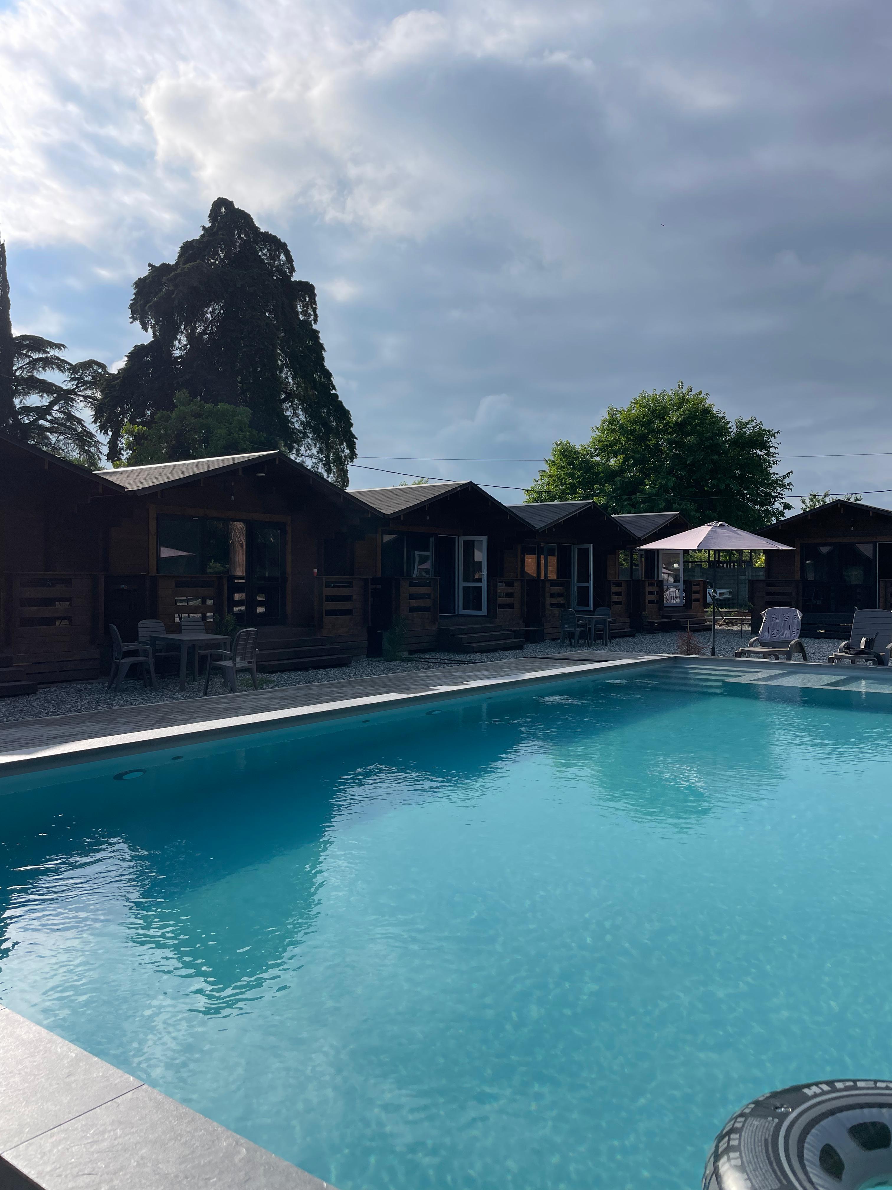 Фото Эвкалипт