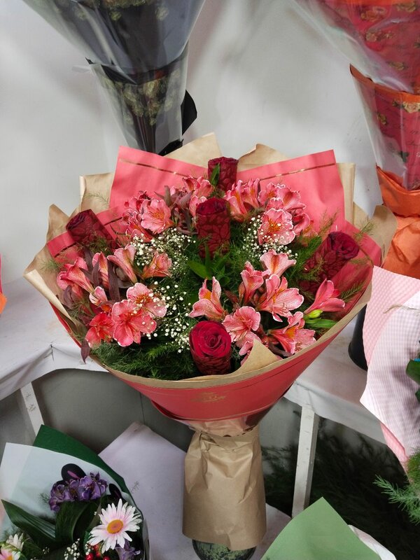 Dubay pornosini tomosha qiling