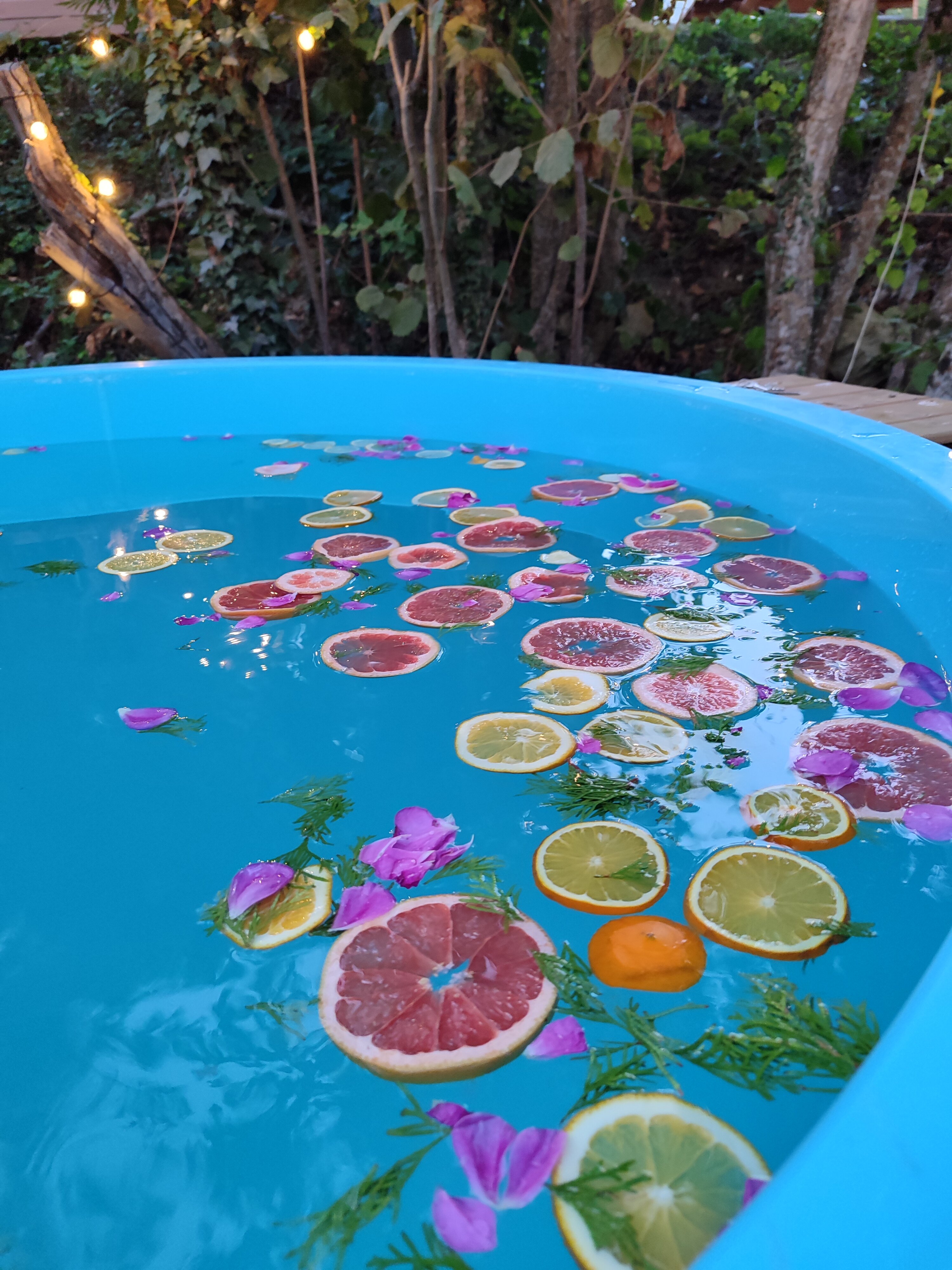 Фото Лимон&Мята