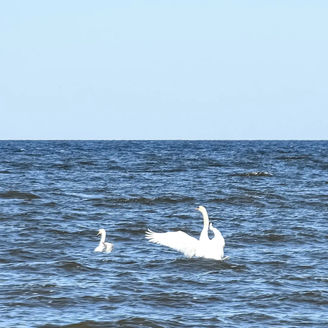Фото Загородный клуб Устье