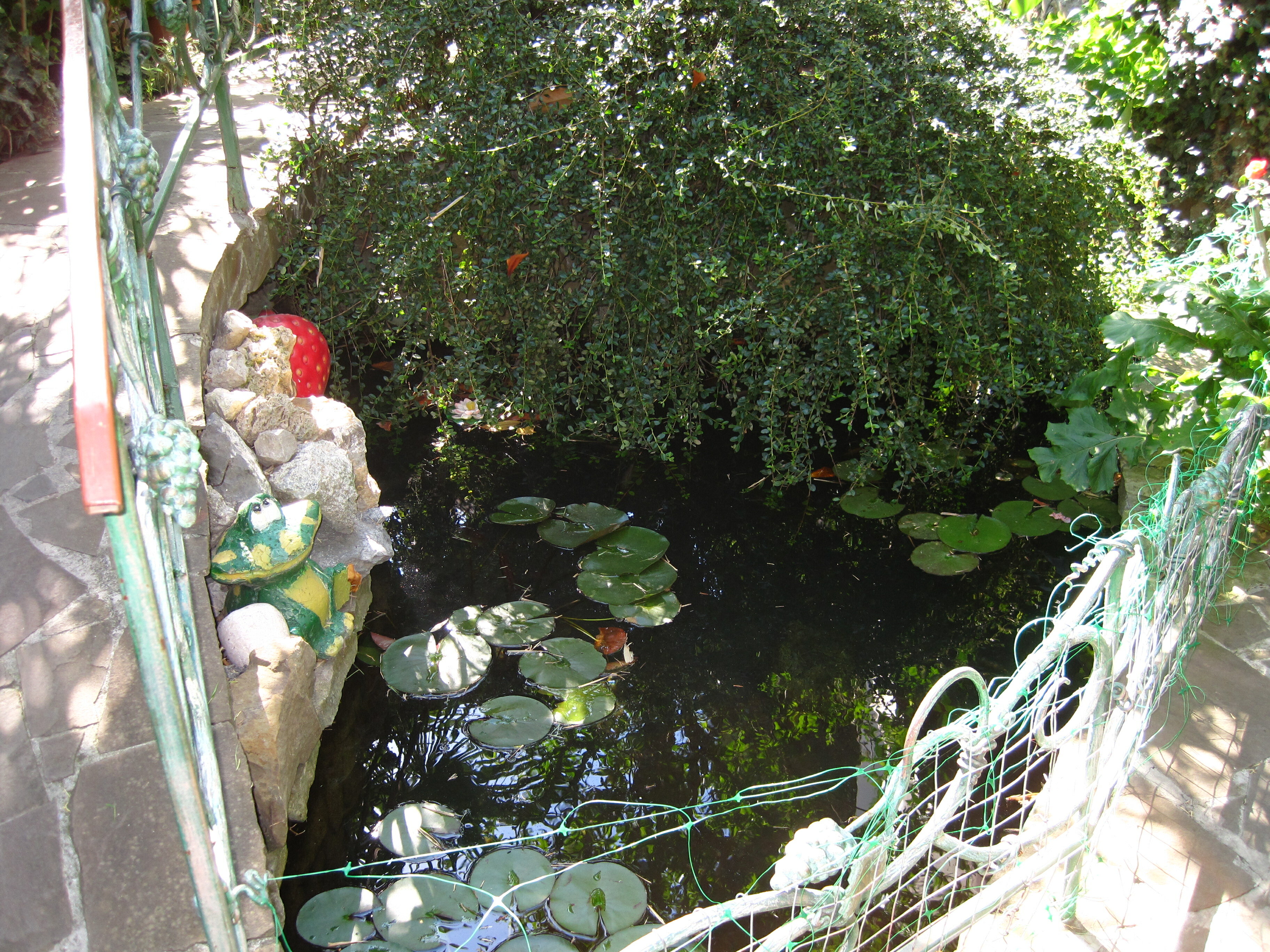 Фото Вилла Лилия