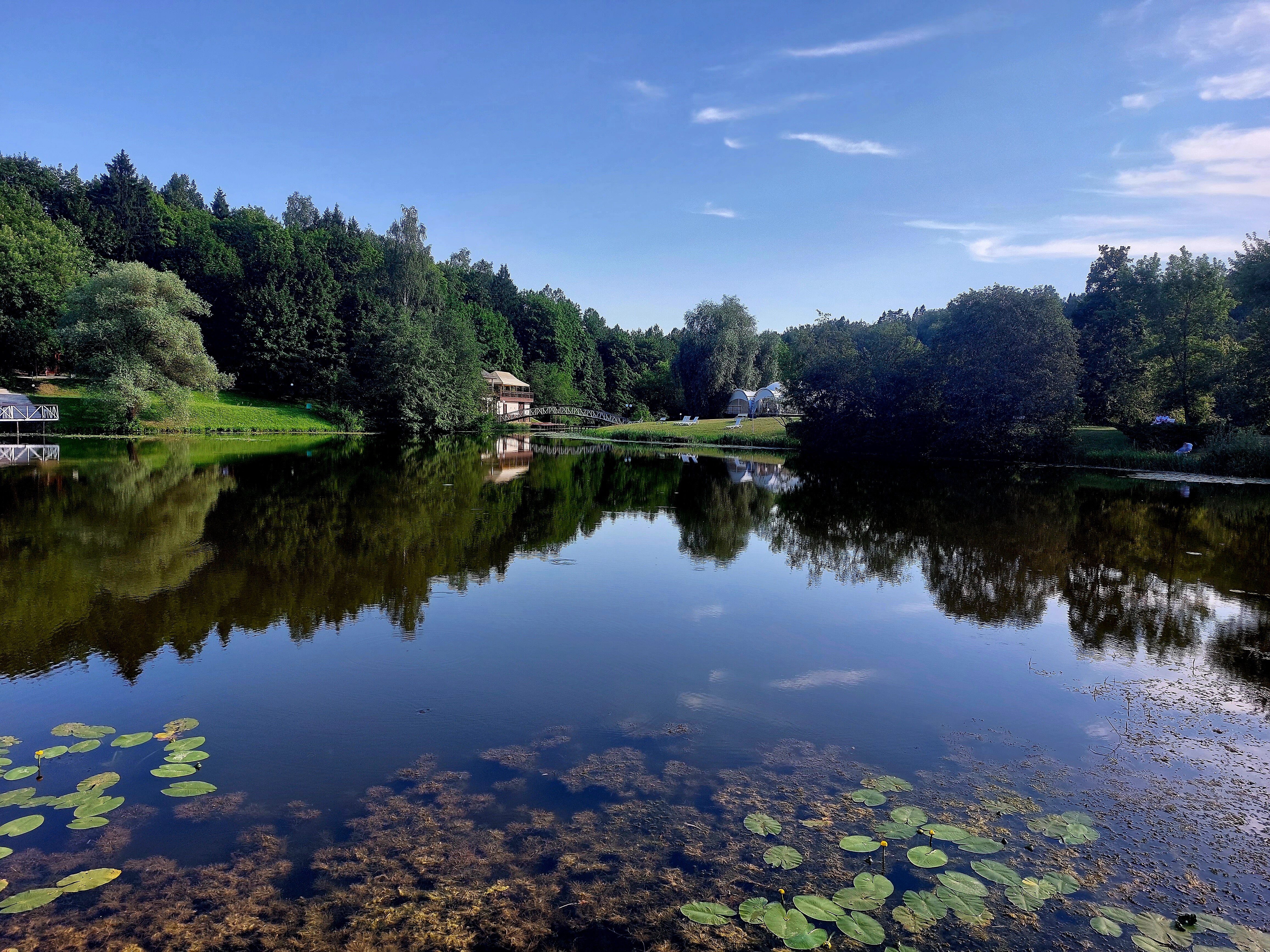 Фото Планерное