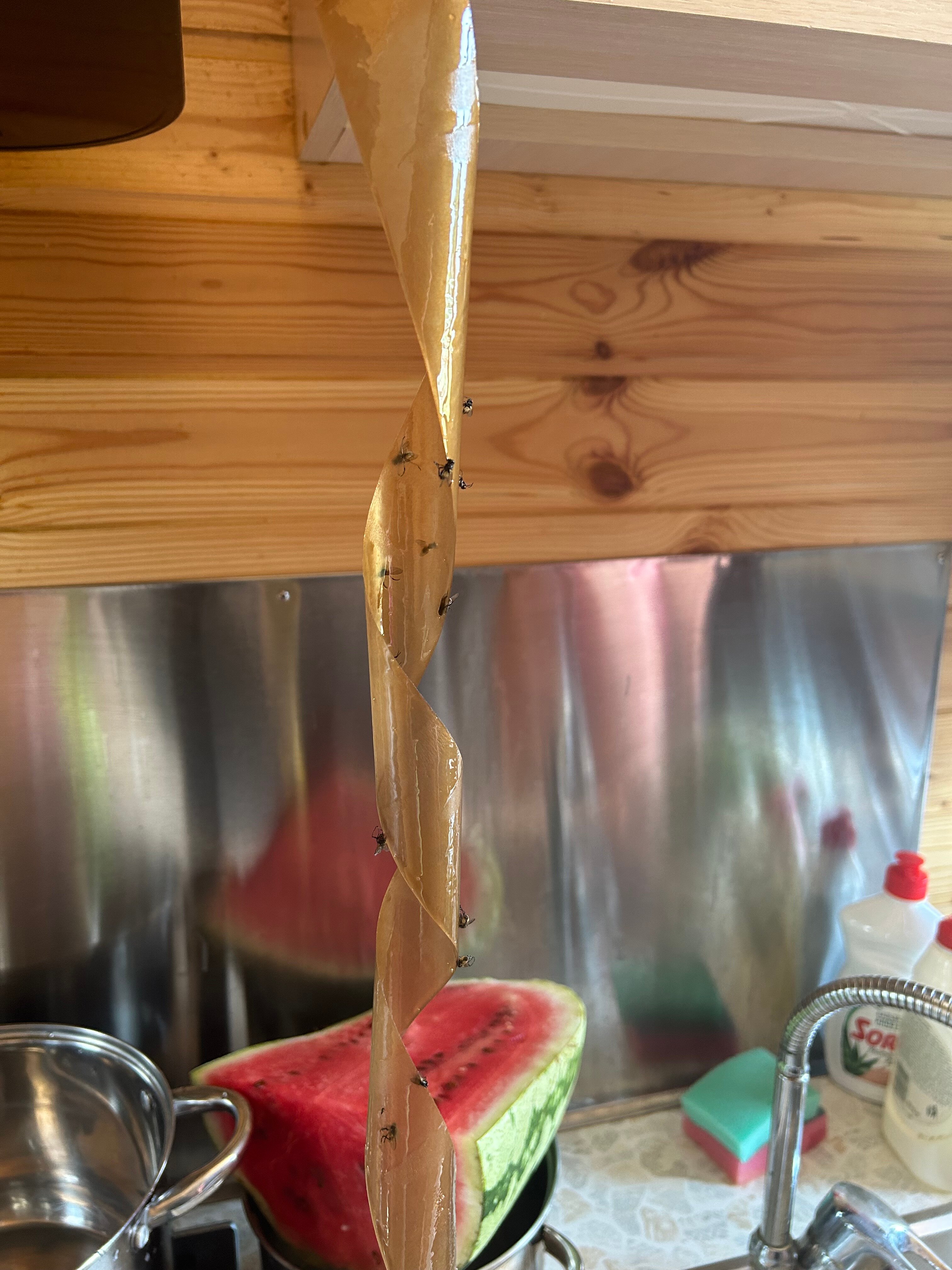 Фото Домики у Моря