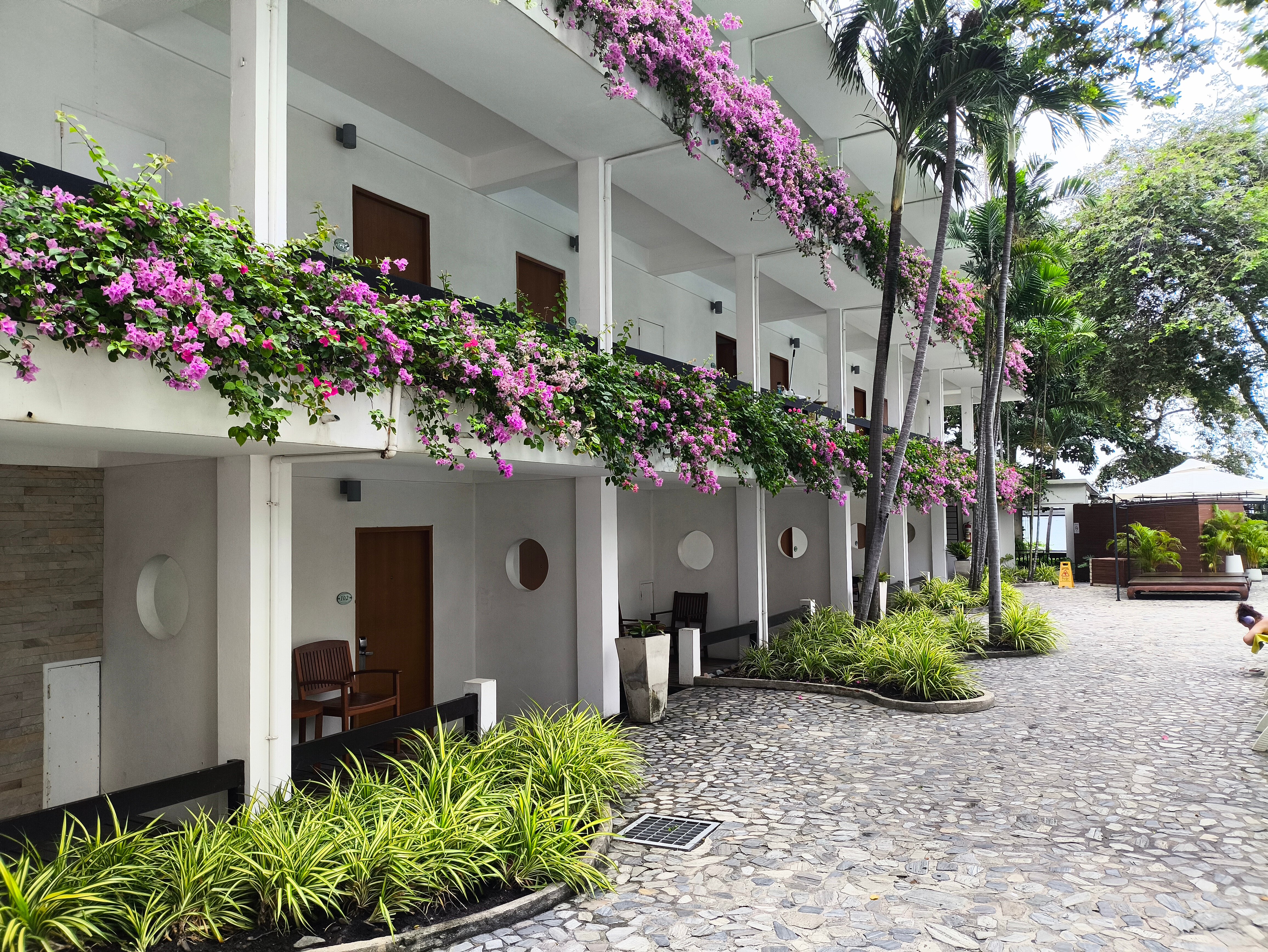 Фото Cosy Beach Hotel