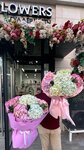 Lion Flowers (Tóle Bı kóshesі, 65), floristeria