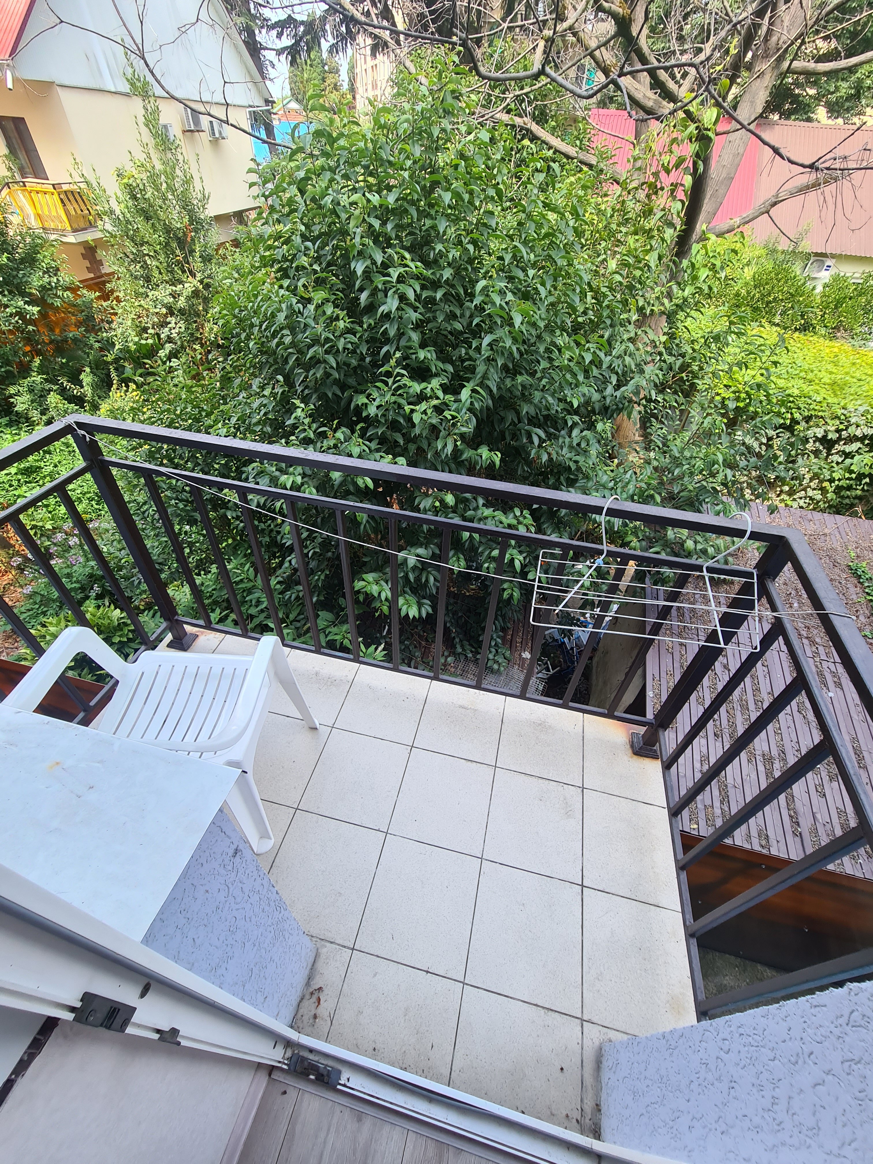 Фото Гиацинт